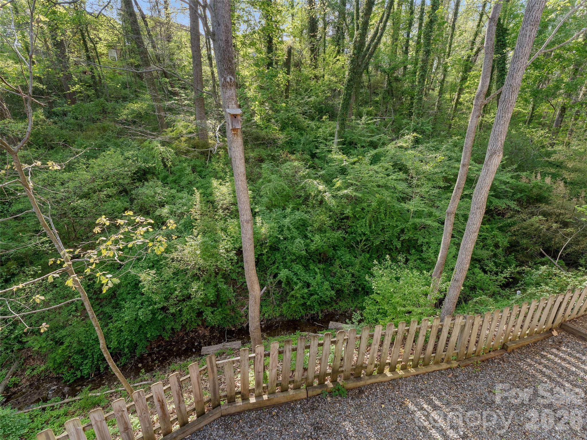 13 Castle Street Asheville NC 28803