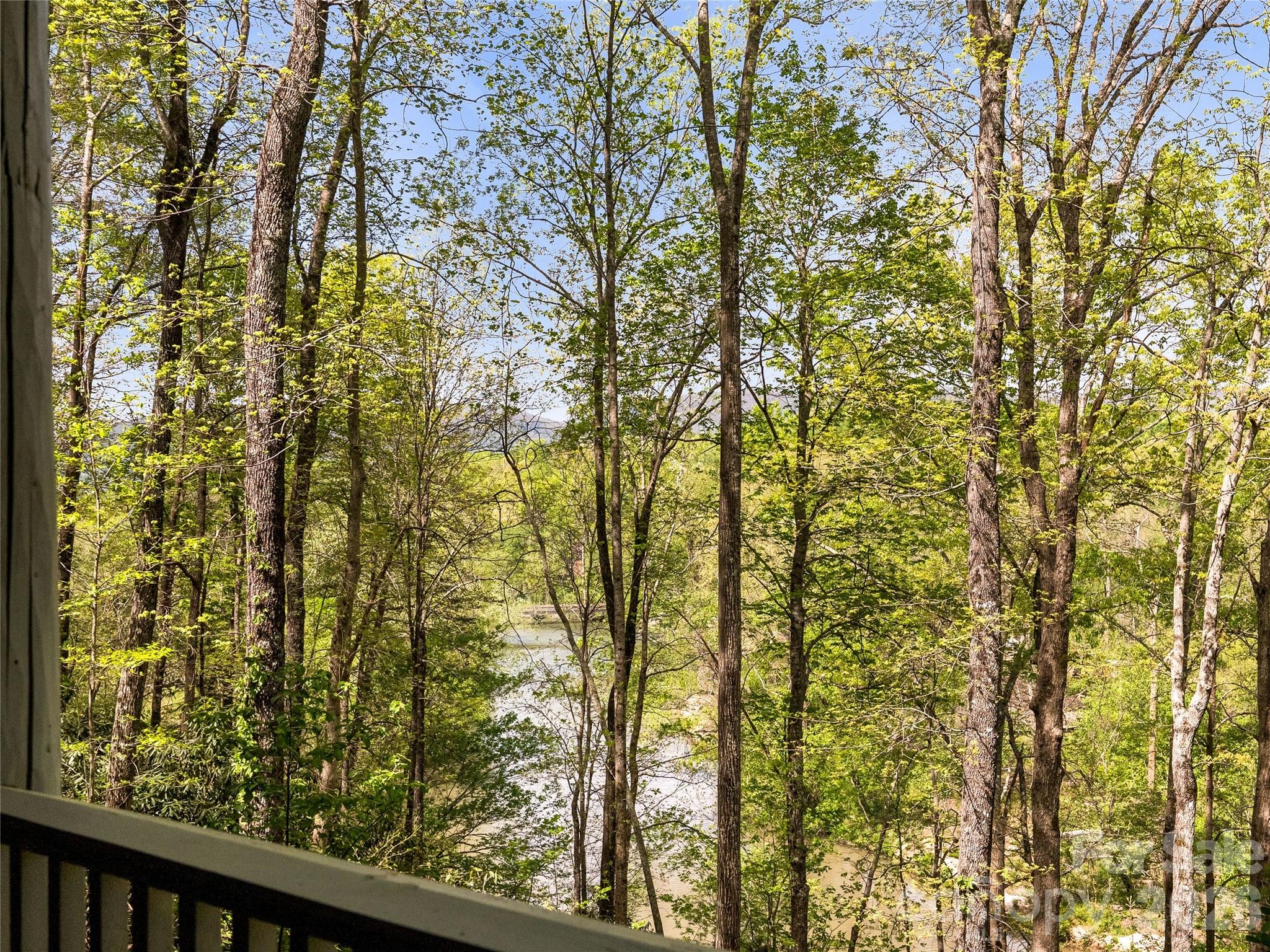 4004 Lake Adger Parkway Mill Spring NC 28756