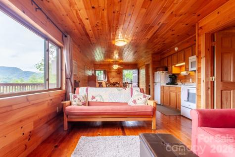 307 Blue Ridge Parkway Bryson City NC 28713