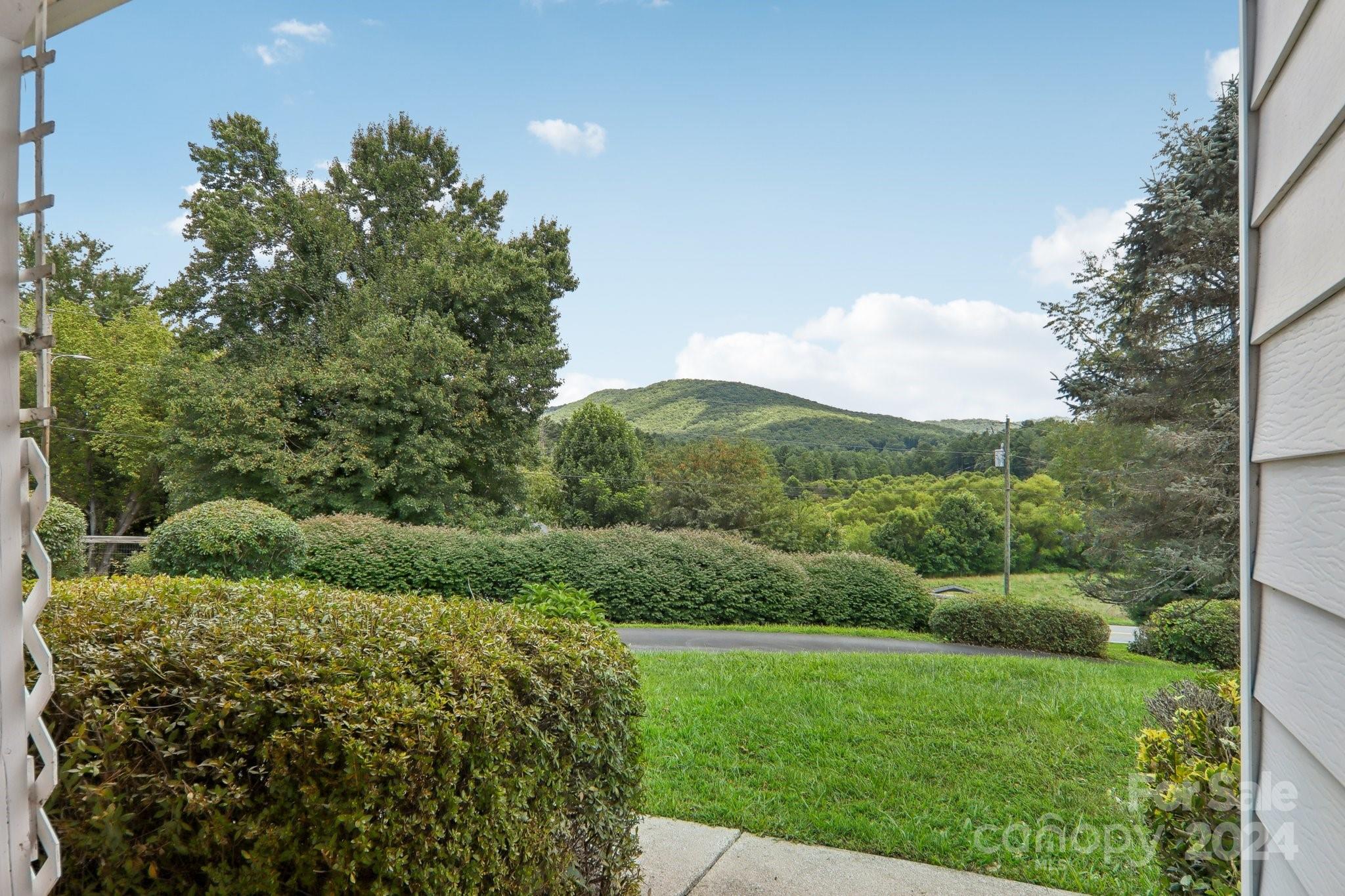 434 Case Cove Road Candler NC 28715
