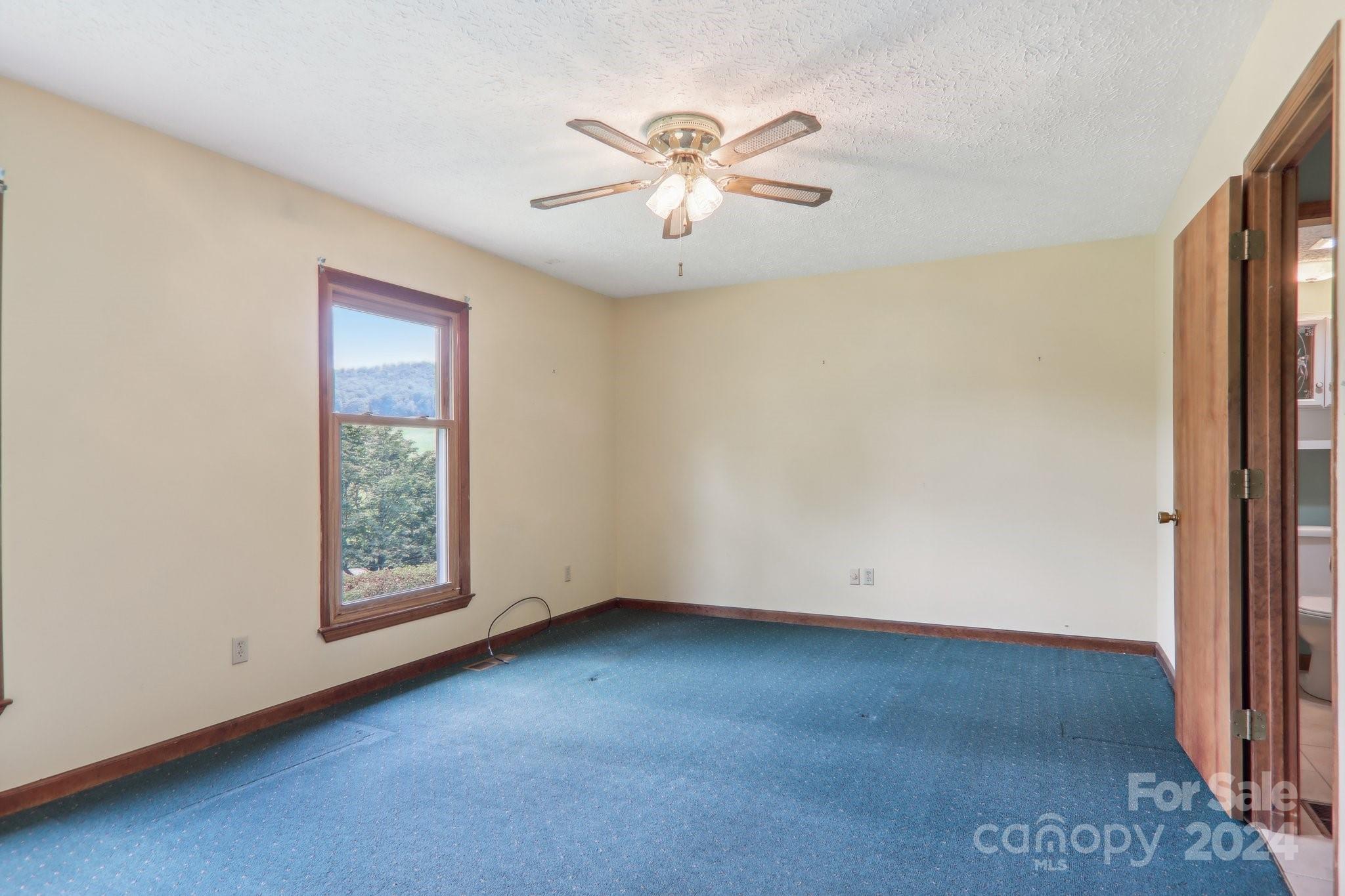 434 Case Cove Road Candler NC 28715