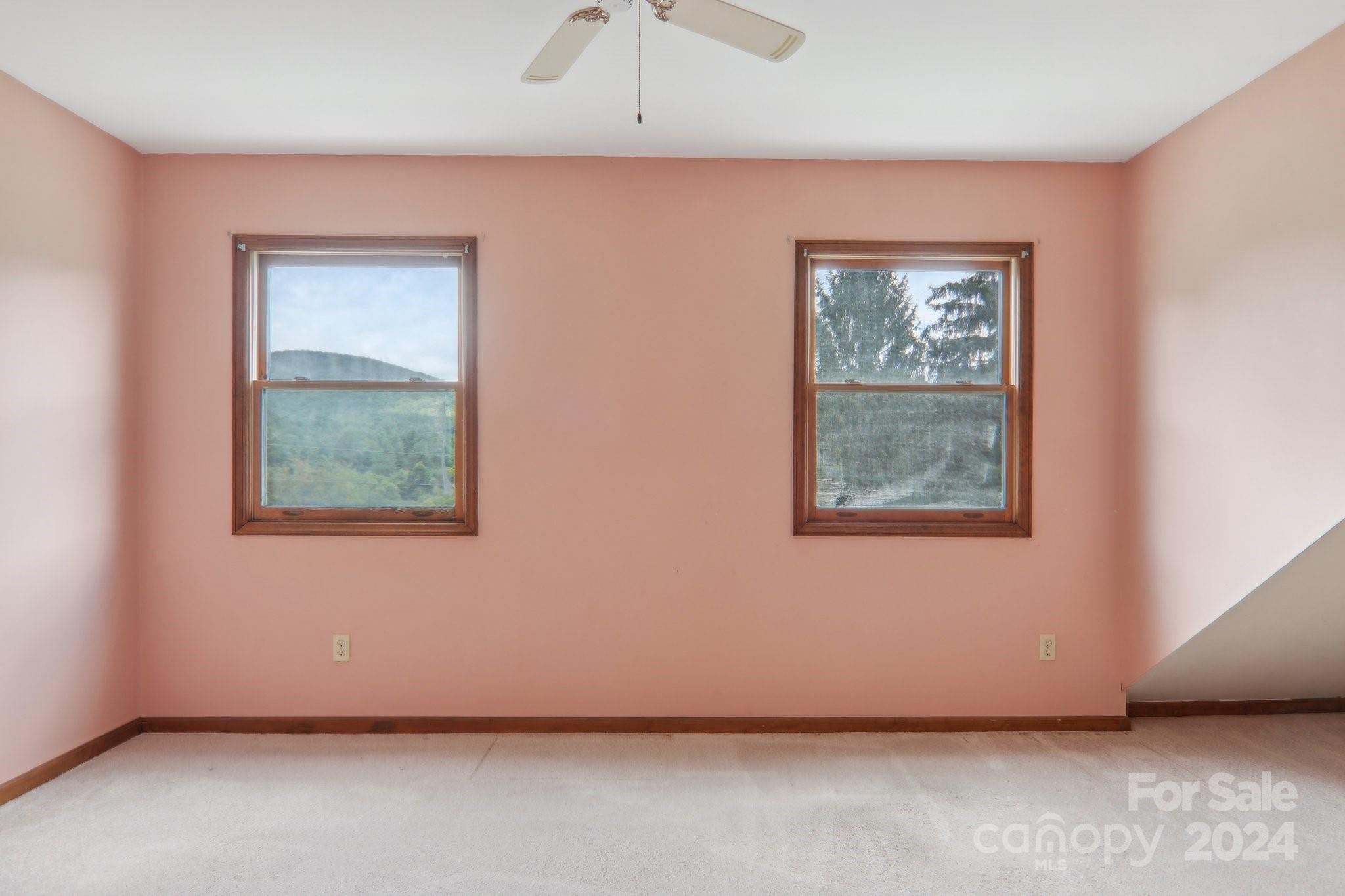 434 Case Cove Road Candler NC 28715