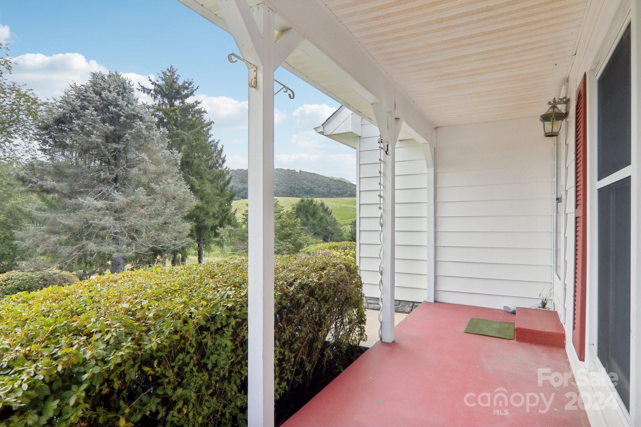 434 Case Cove Road Candler NC 28715