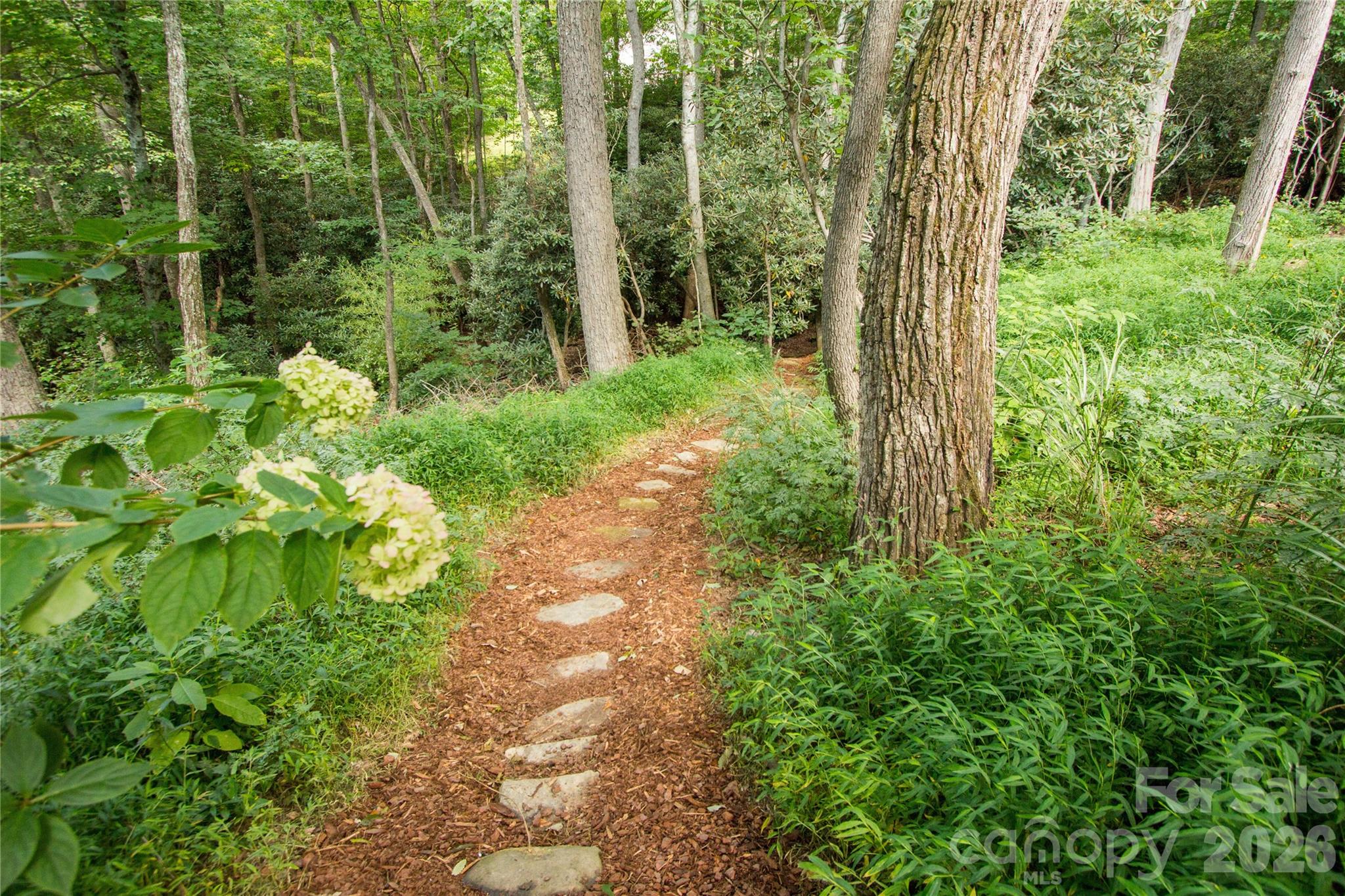 56 Windover Drive Asheville NC 28803