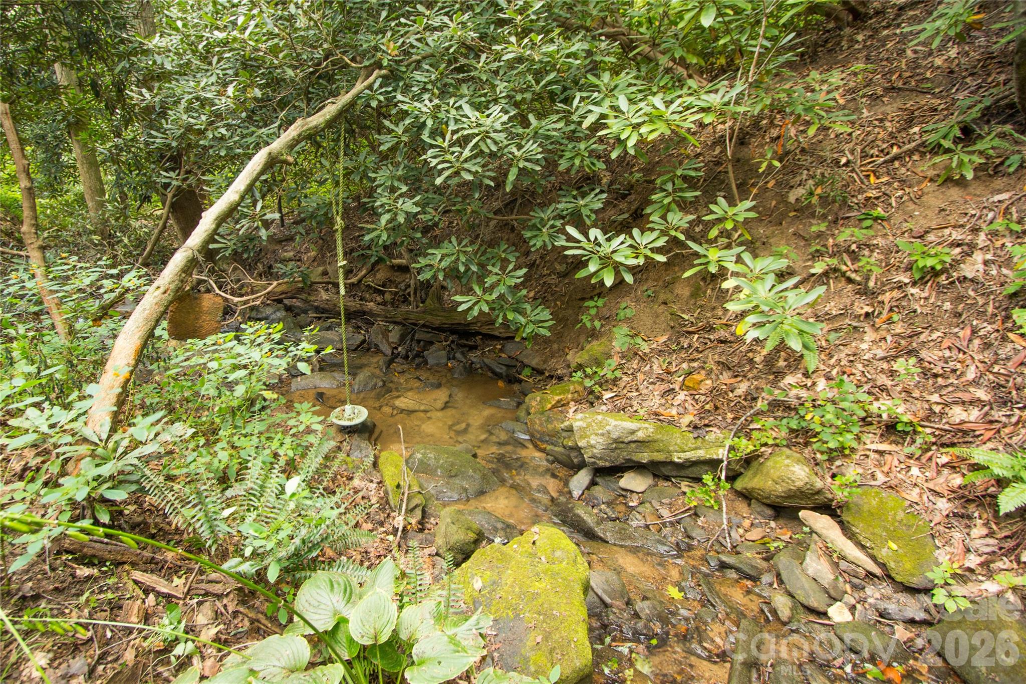 56 Windover Drive Asheville NC 28803