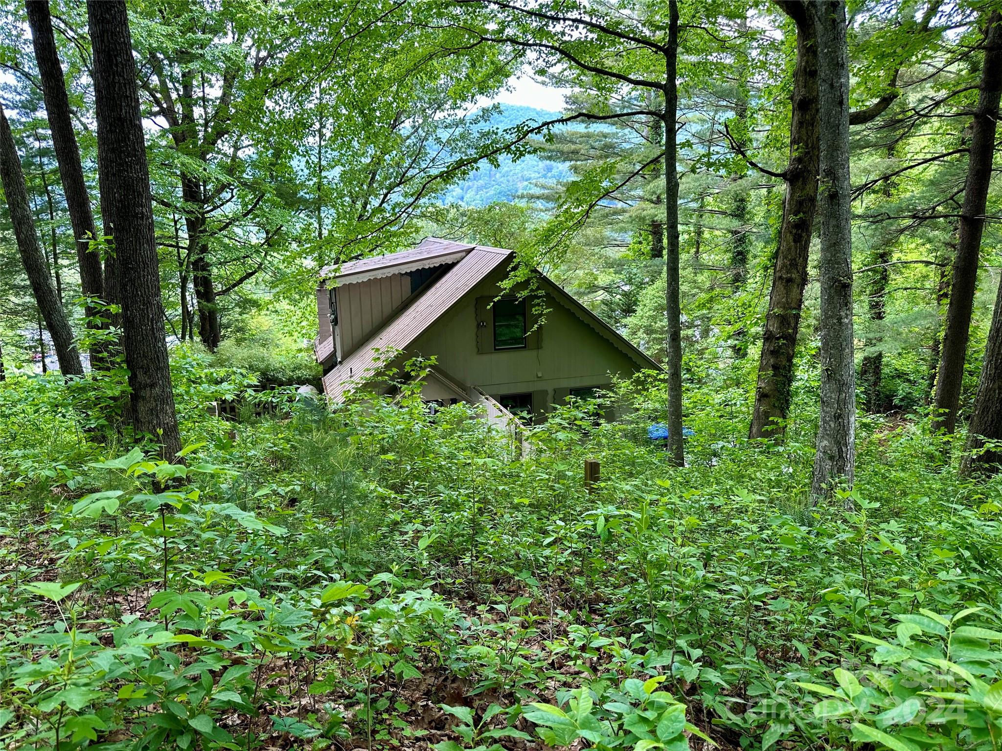 410 Mother In Law Lane Burnsville NC 28714