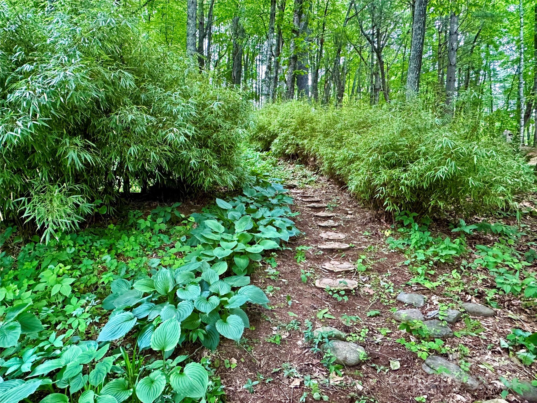 410 Mother In Law Lane Burnsville NC 28714