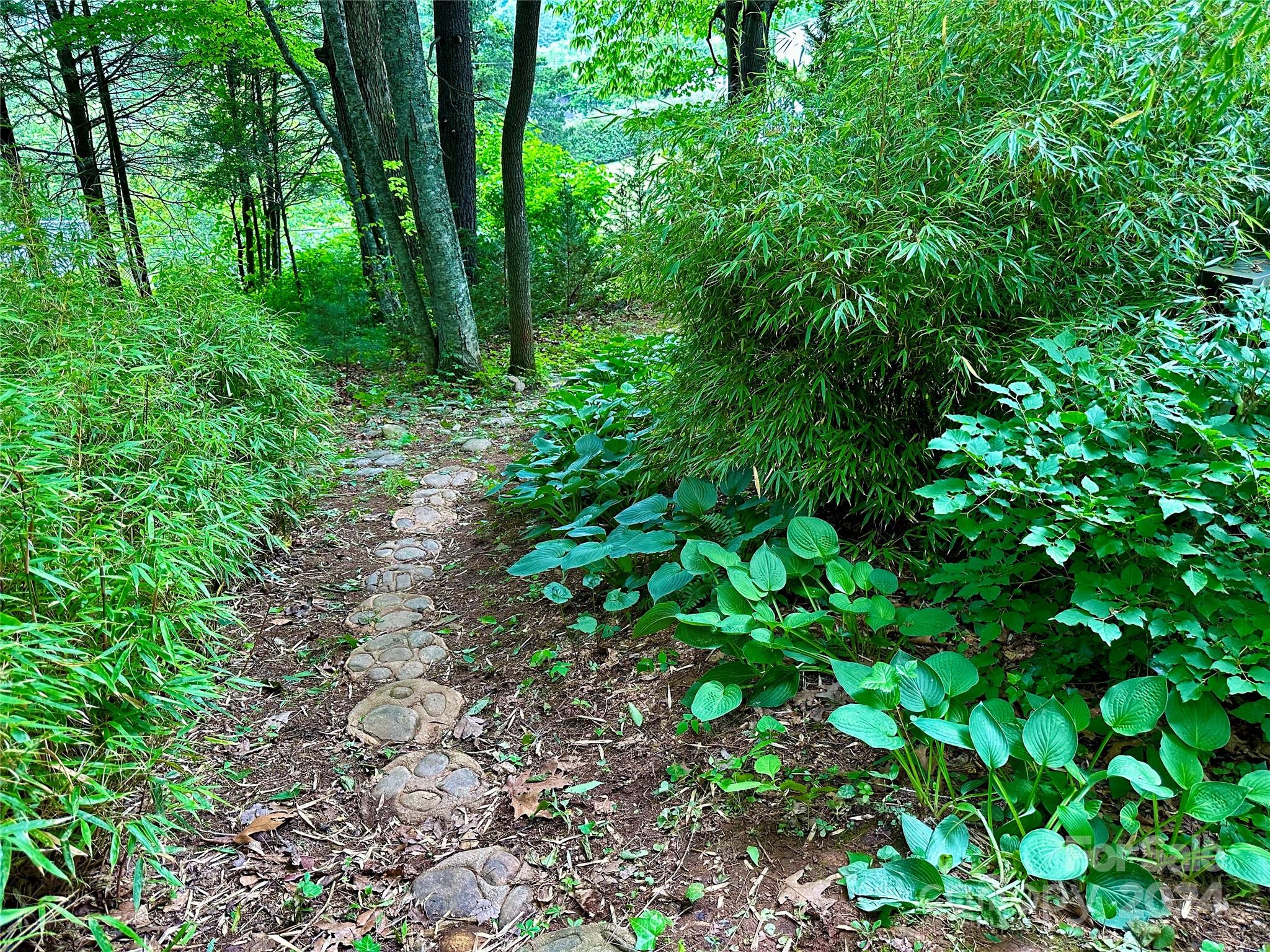 410 Mother In Law Lane Burnsville NC 28714