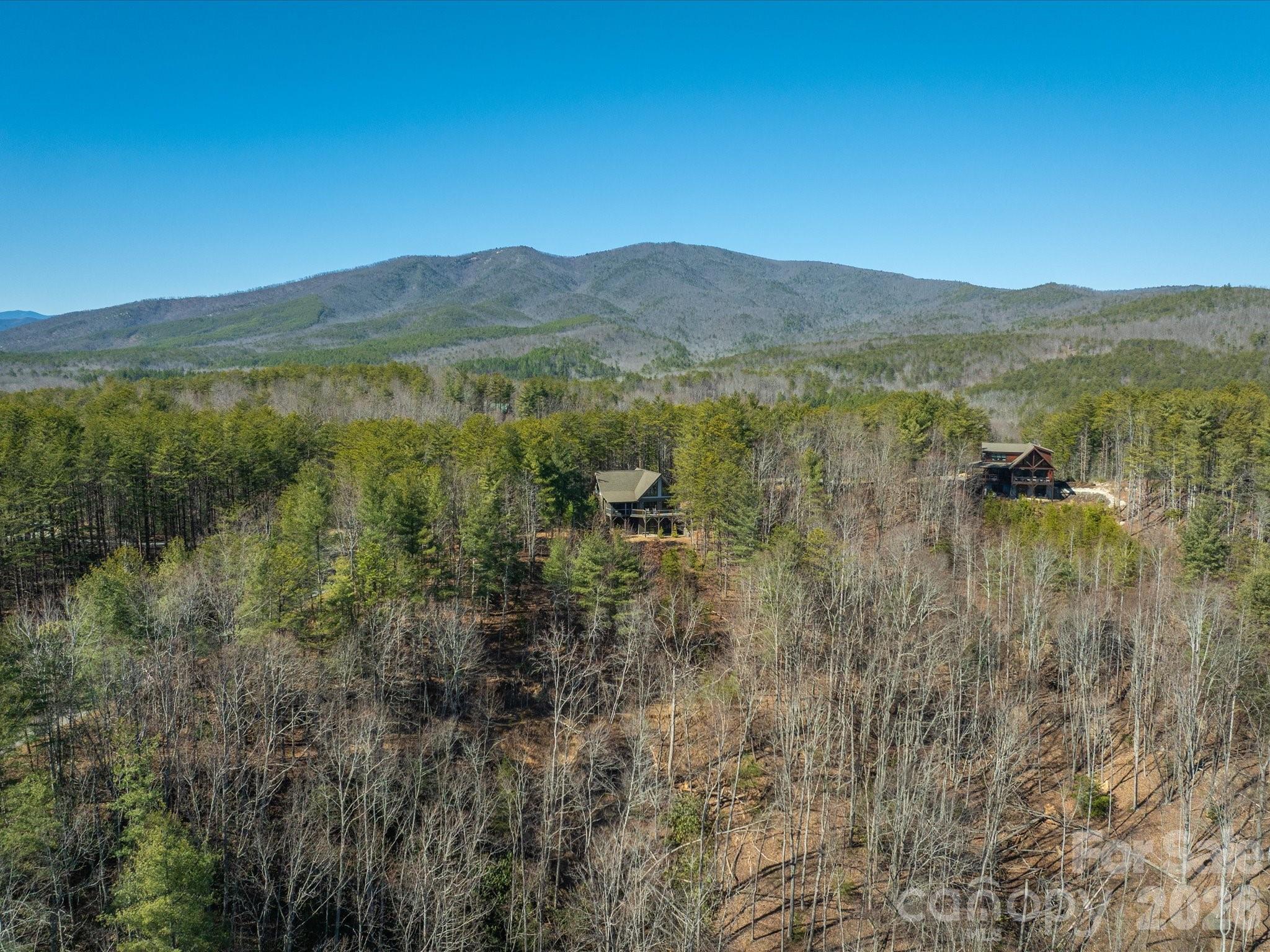 1016 Horizon Trail Nebo NC 28761