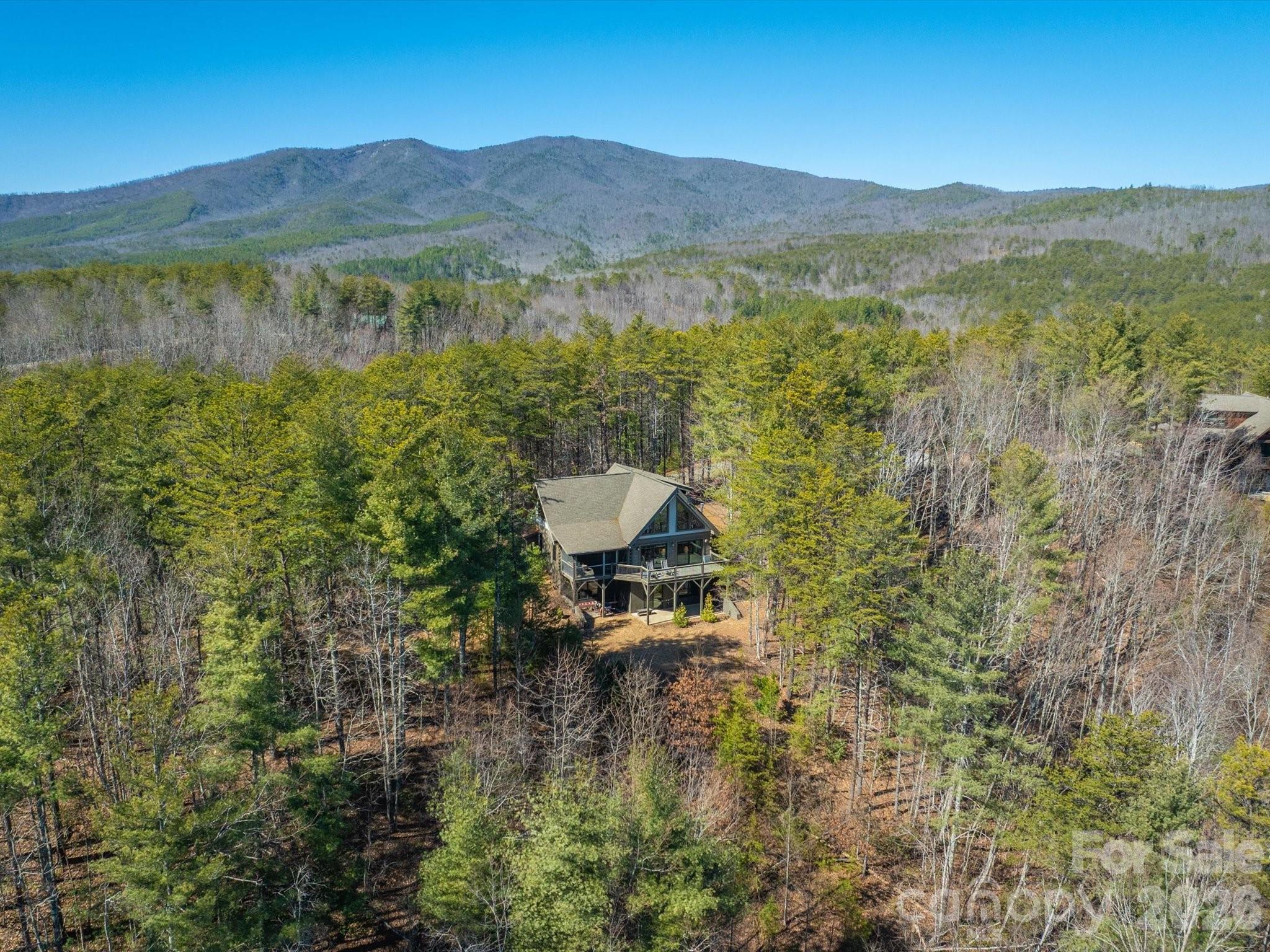 1016 Horizon Trail Nebo NC 28761
