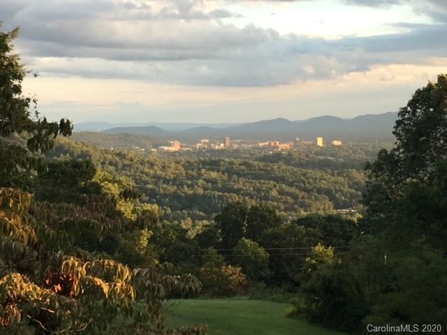 466 Elk Mountain Scenic Highway Asheville NC 28804