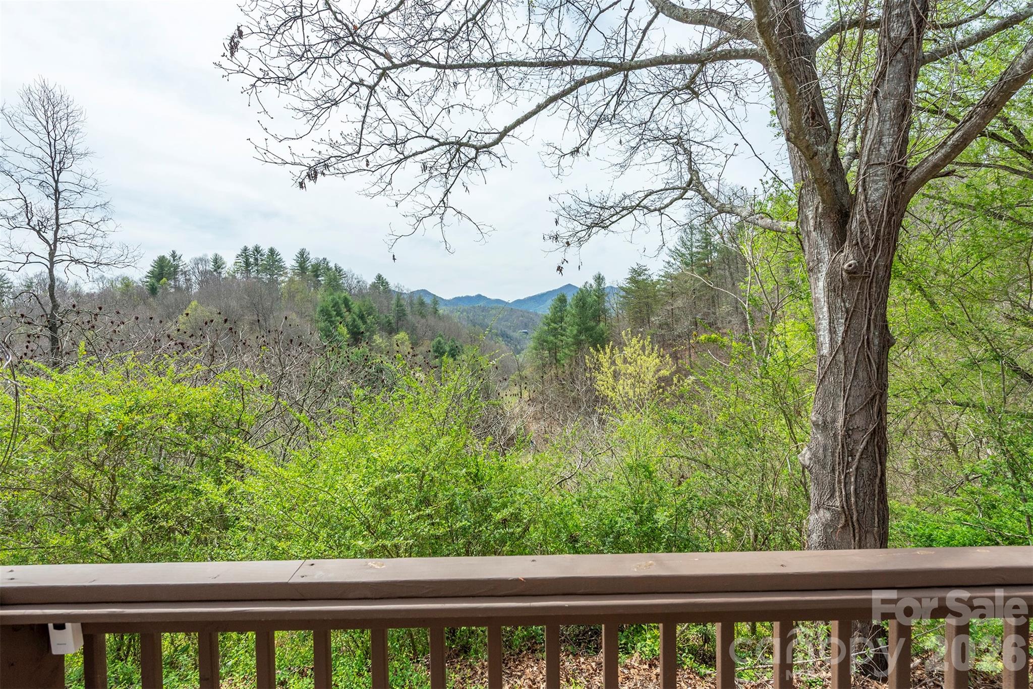 1274 Little Pine Road Marshall NC 28753