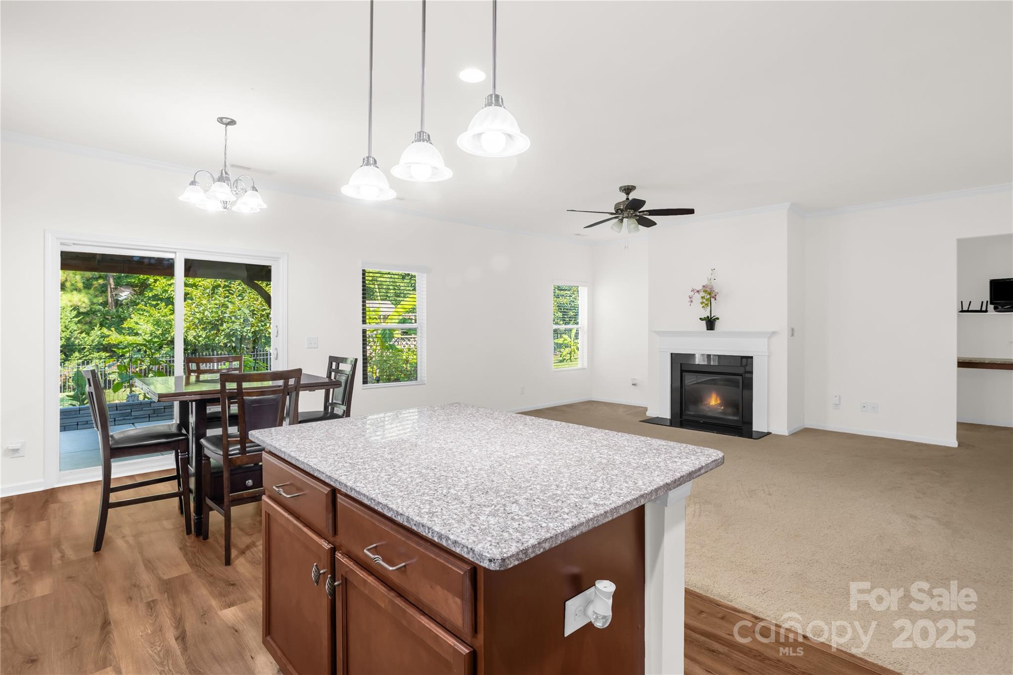 13516 Mallard Lake Road Charlotte NC 28262