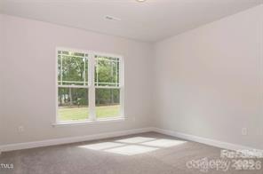 1340 Gardenia Drive Mt Ulla NC 28125