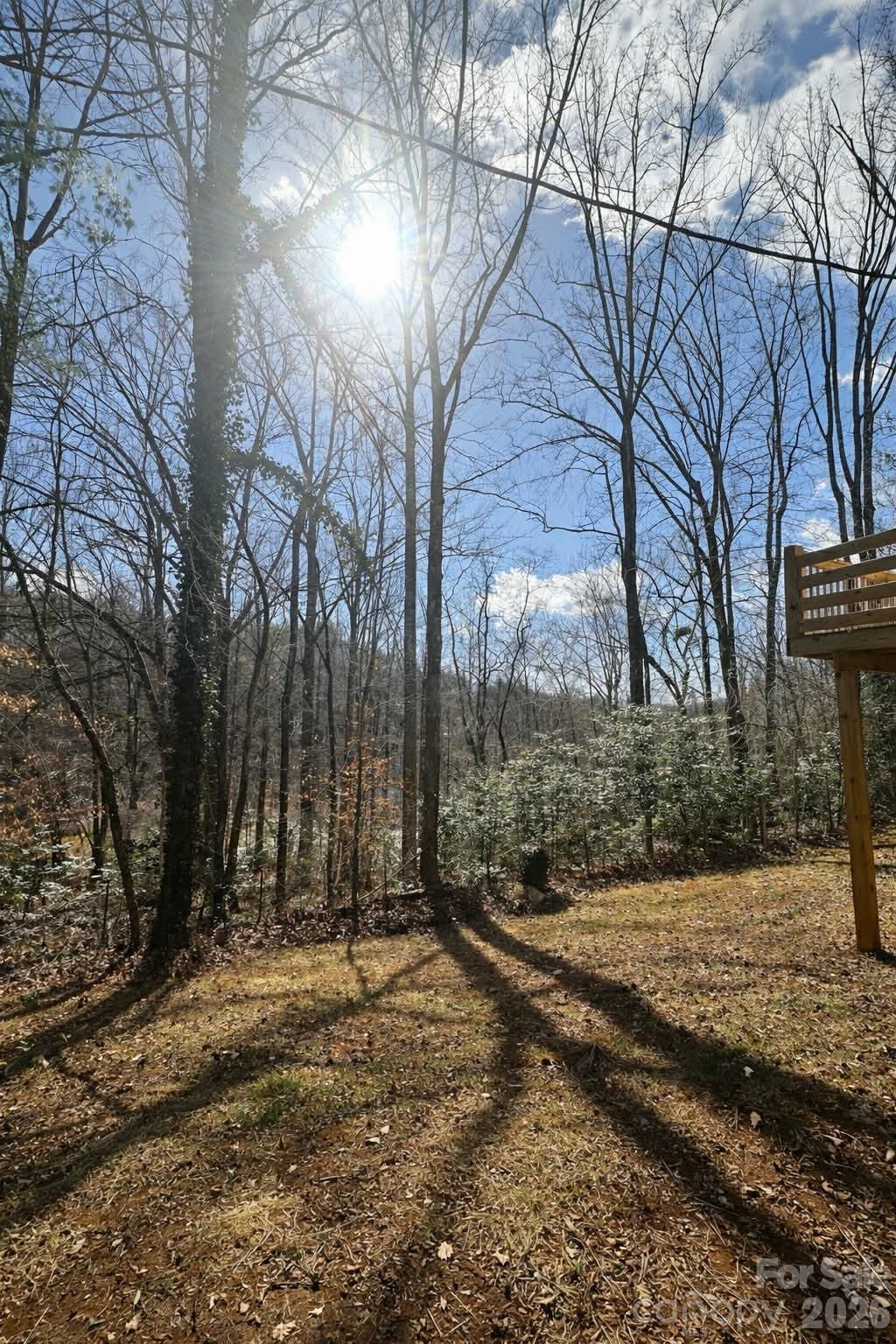 295 Moore Drive Marion NC 28752