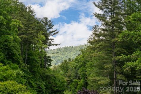44 Woodland Aster Way Asheville NC 28804