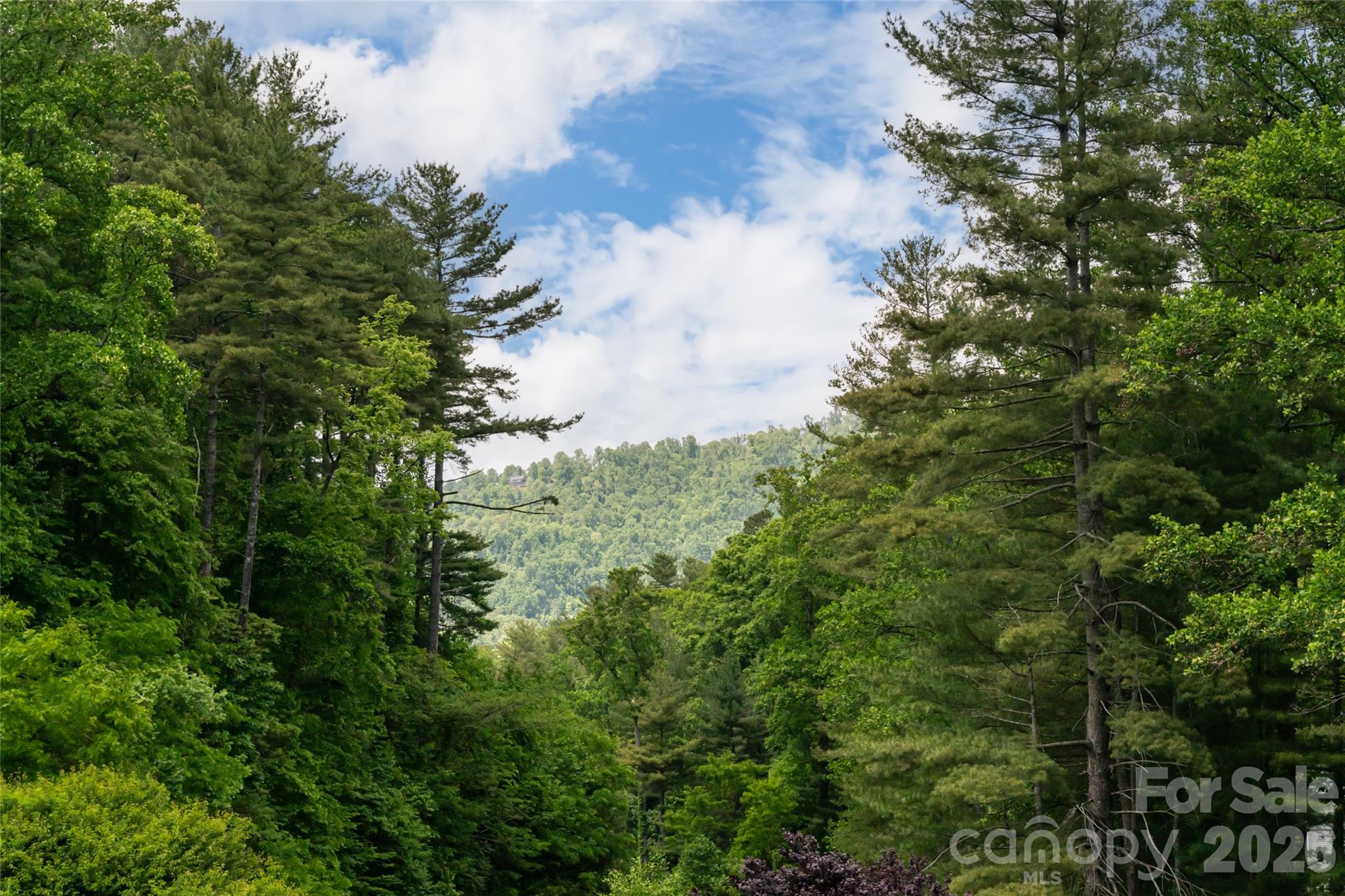 44 Woodland Aster Way Asheville NC 28804