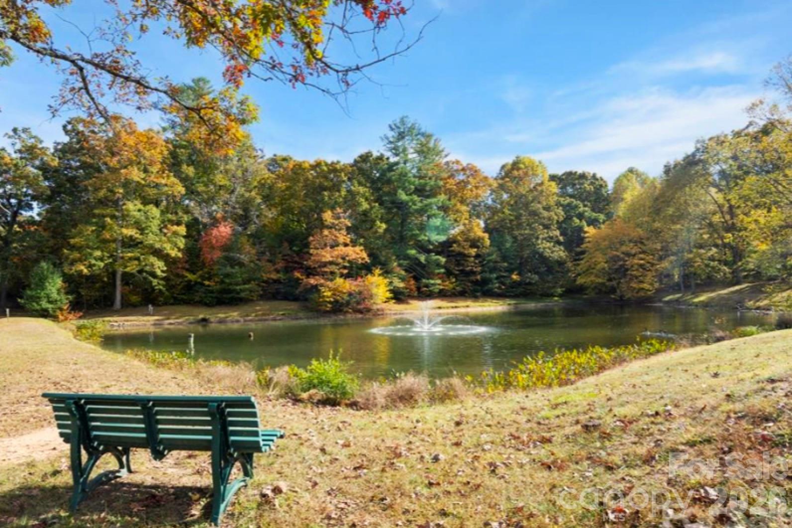 115 Creeks End Circle Mills River NC 28759