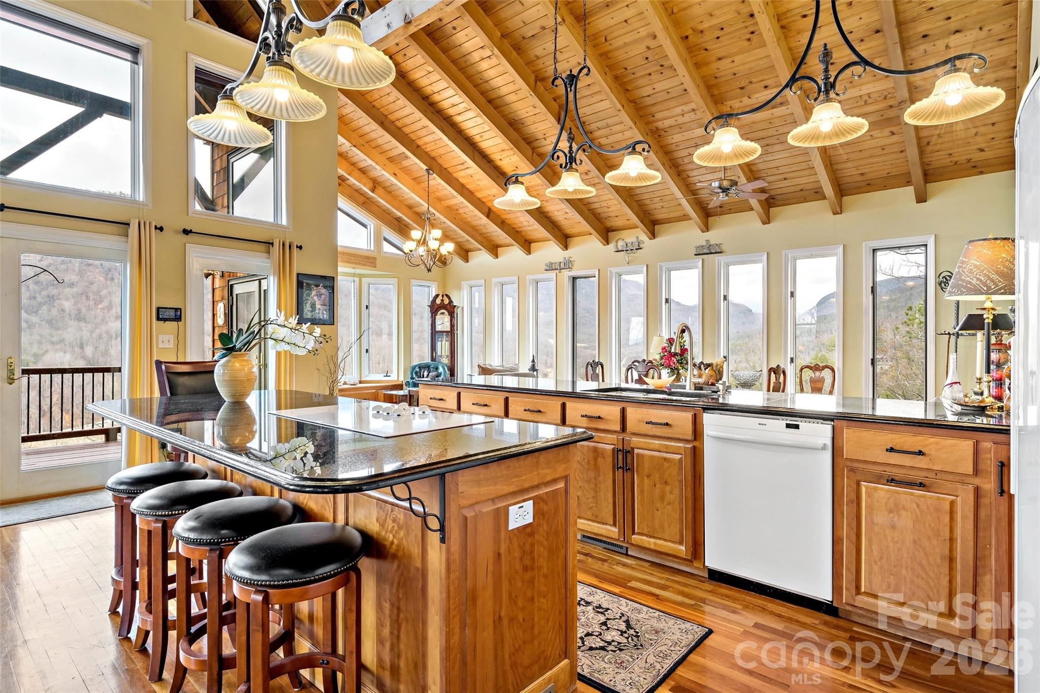 60 E Valley View Drive Marion NC 28752