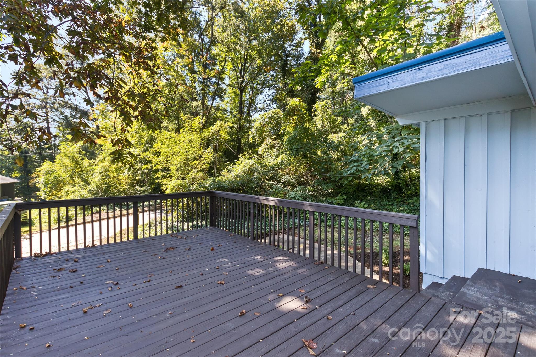 54 Hampden Road Asheville NC 28805