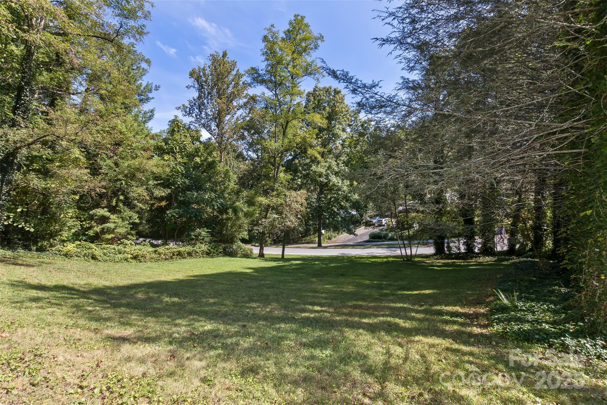 54 Hampden Road Asheville NC 28805