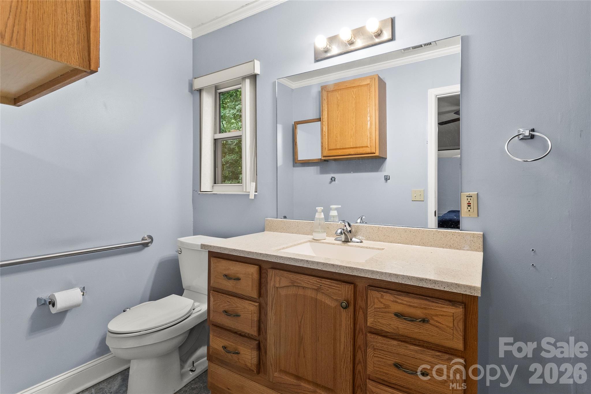 132 Lismark Drive Mooresville NC 28117