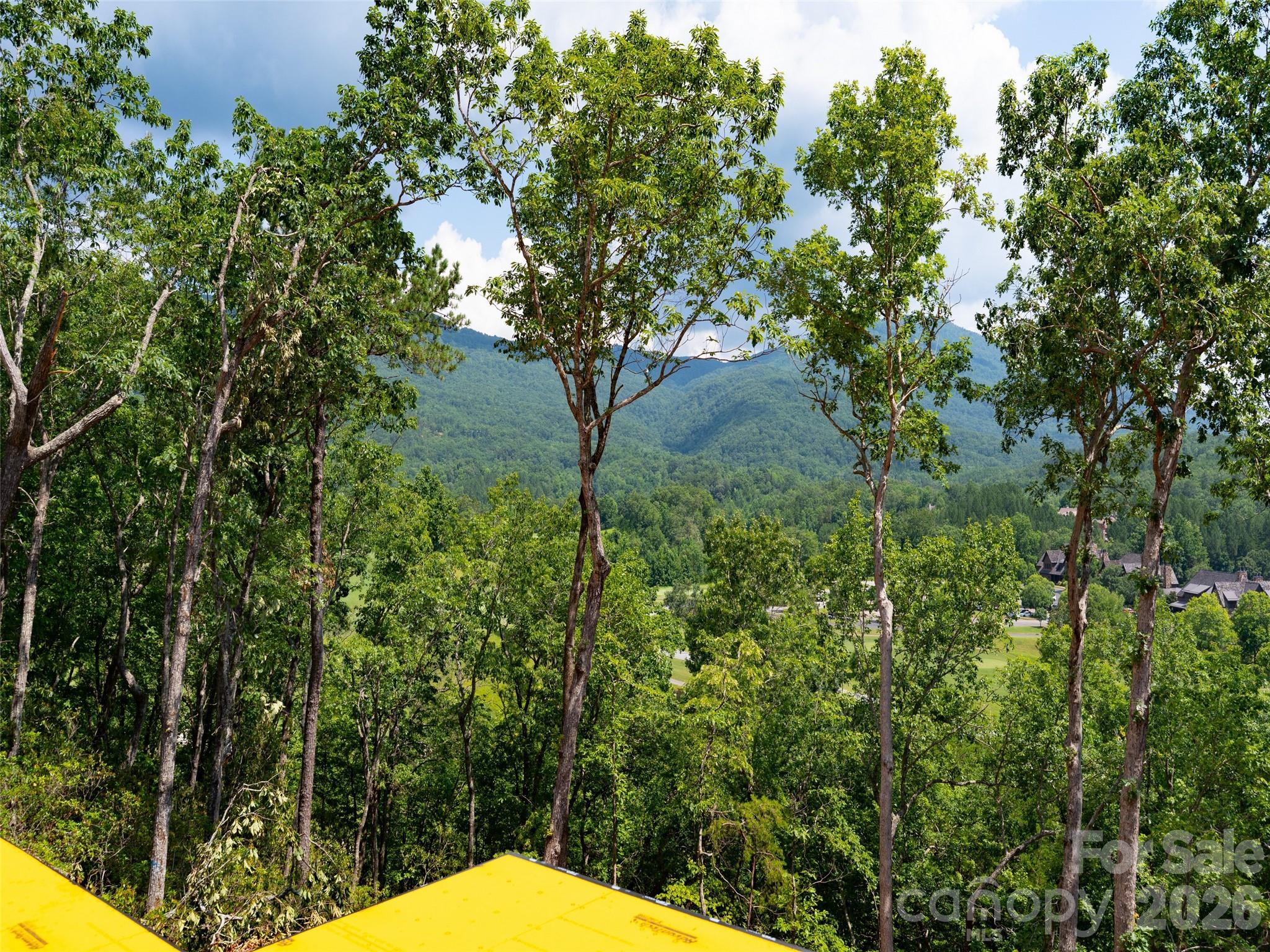 2015 Deep Gap Farm Road W Mill Spring NC 28756