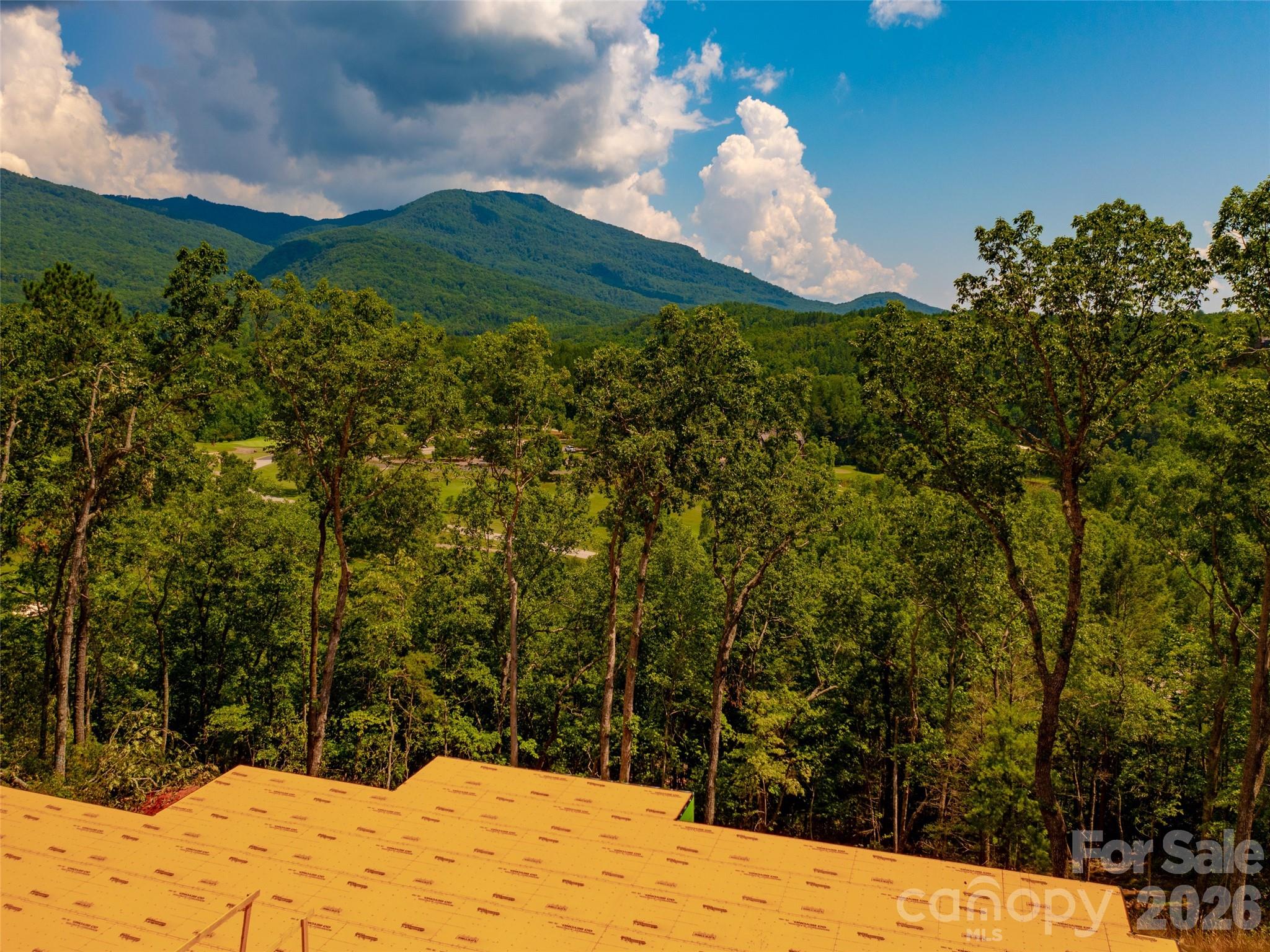 2015 Deep Gap Farm Road W Mill Spring NC 28756