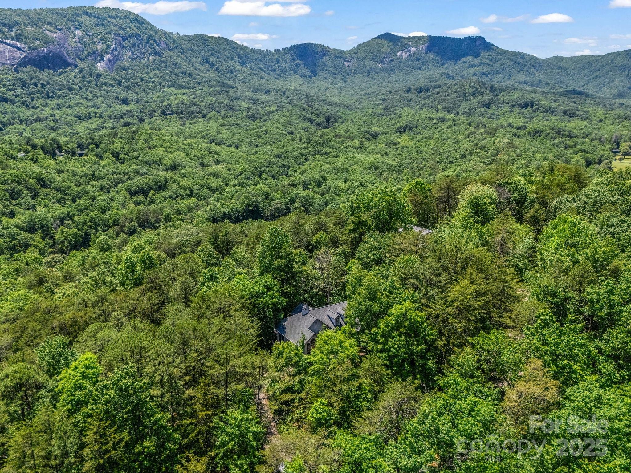 212 Ridgeway Road Lake Lure NC 28746