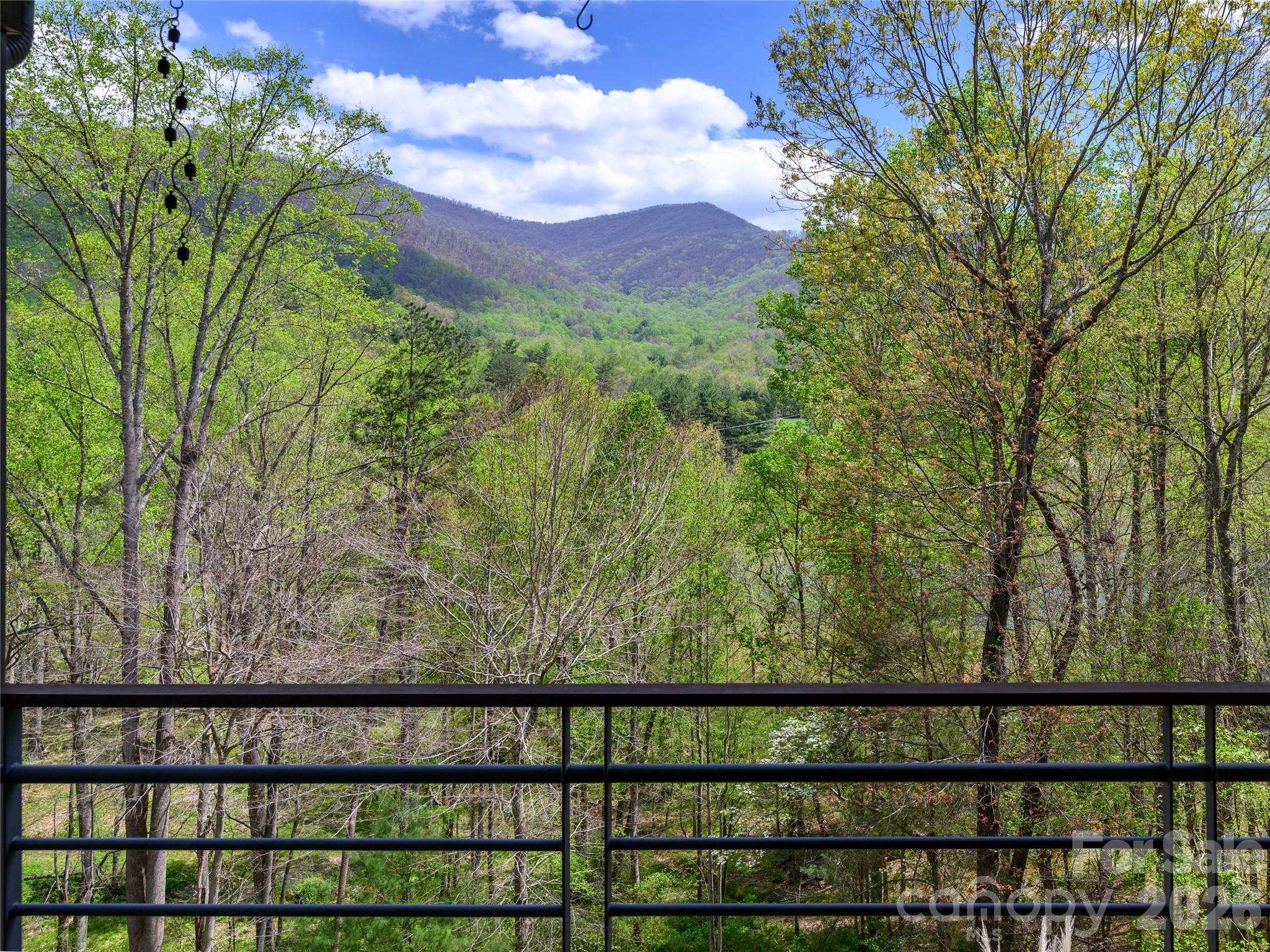 39 Ox Bow Crossing Weaverville NC 28787