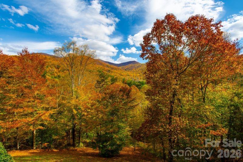 39 Ox Bow Crossing Weaverville NC 28787