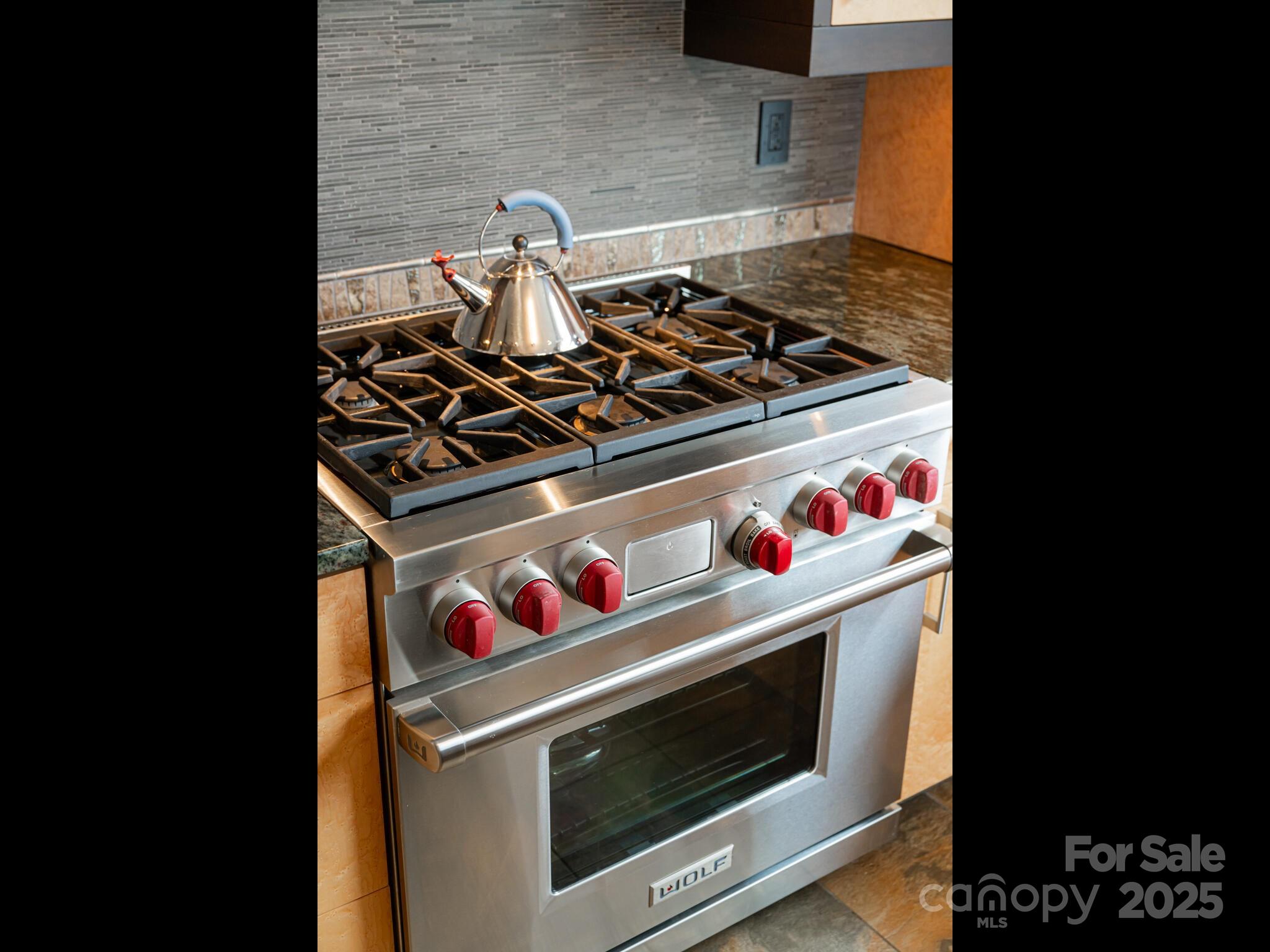 5 Powder Ridge Drive Asheville NC 28803