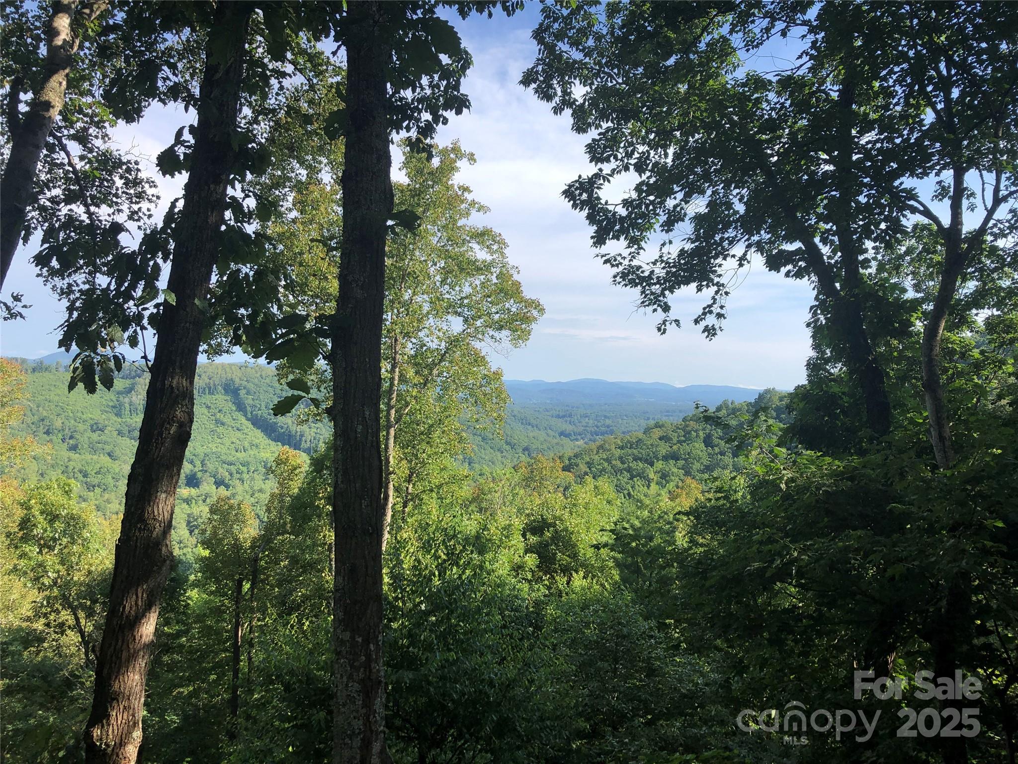 5 Powder Ridge Drive Asheville NC 28803