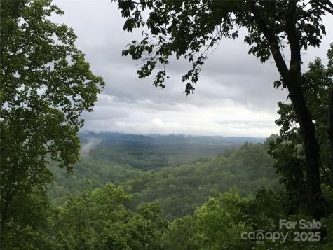 5 Powder Ridge Drive Asheville NC 28803