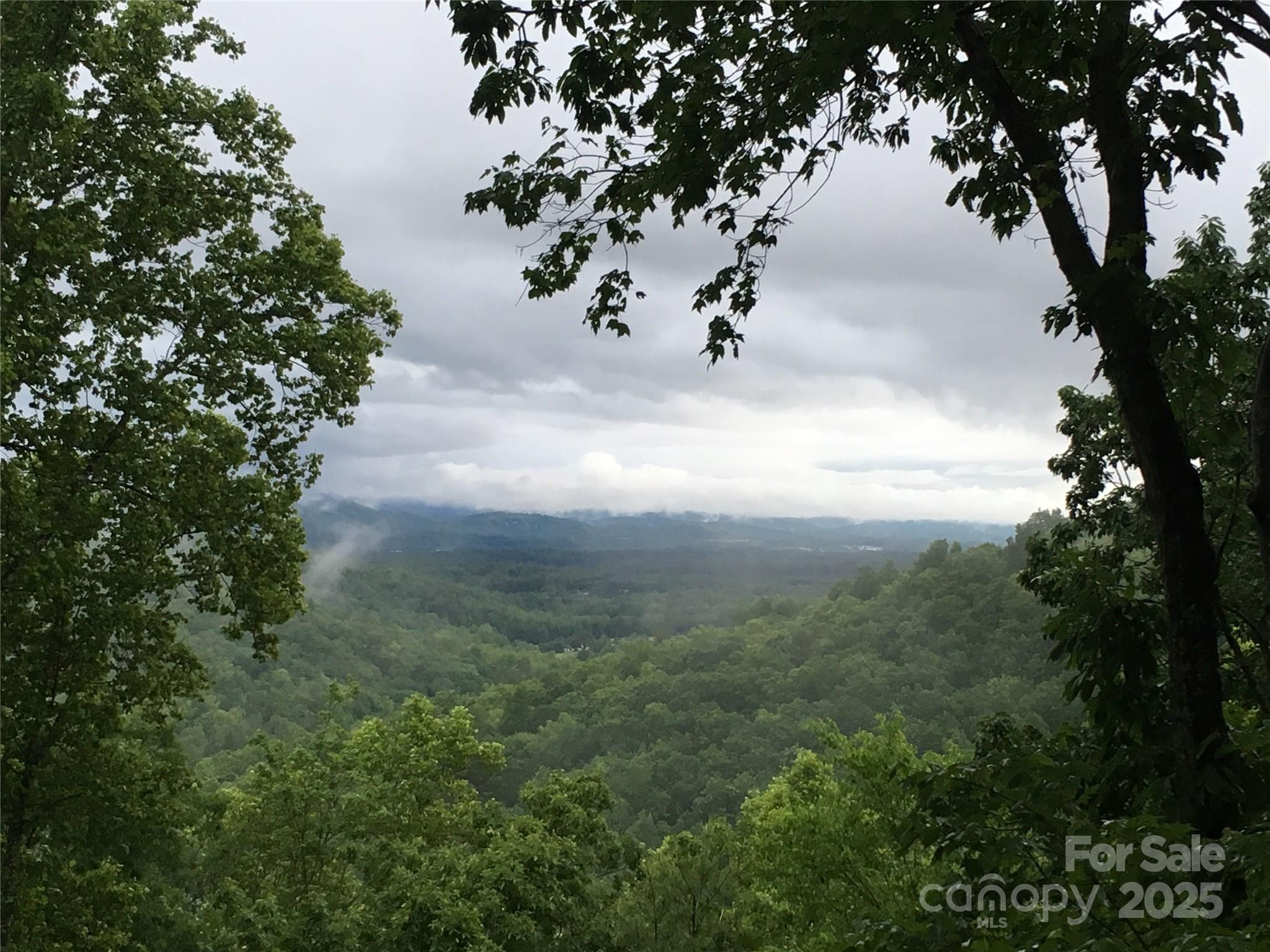 5 Powder Ridge Drive Asheville NC 28803