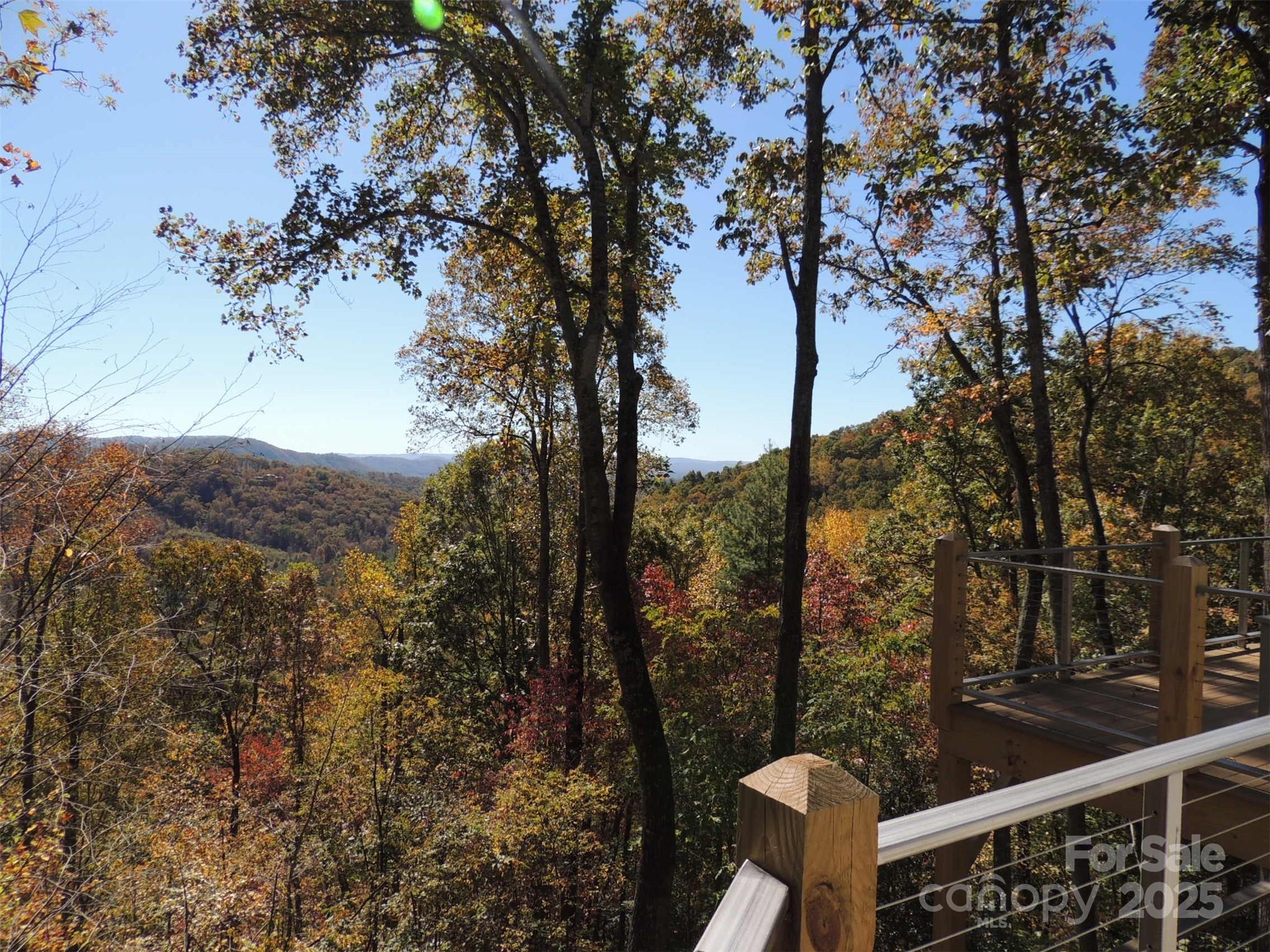 5 Powder Ridge Drive Asheville NC 28803