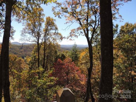 5 Powder Ridge Drive Asheville NC 28803