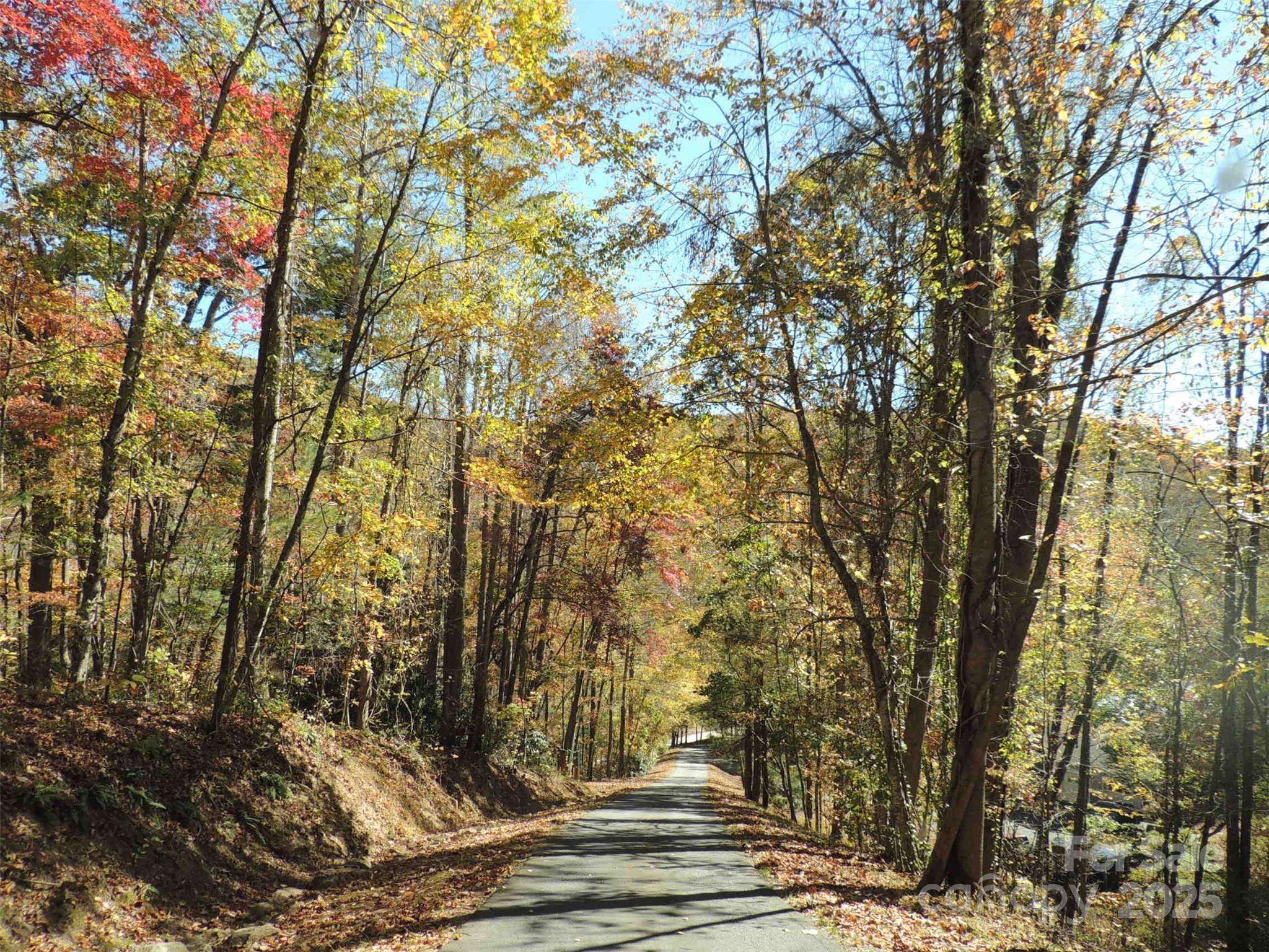 5 Powder Ridge Drive Asheville NC 28803