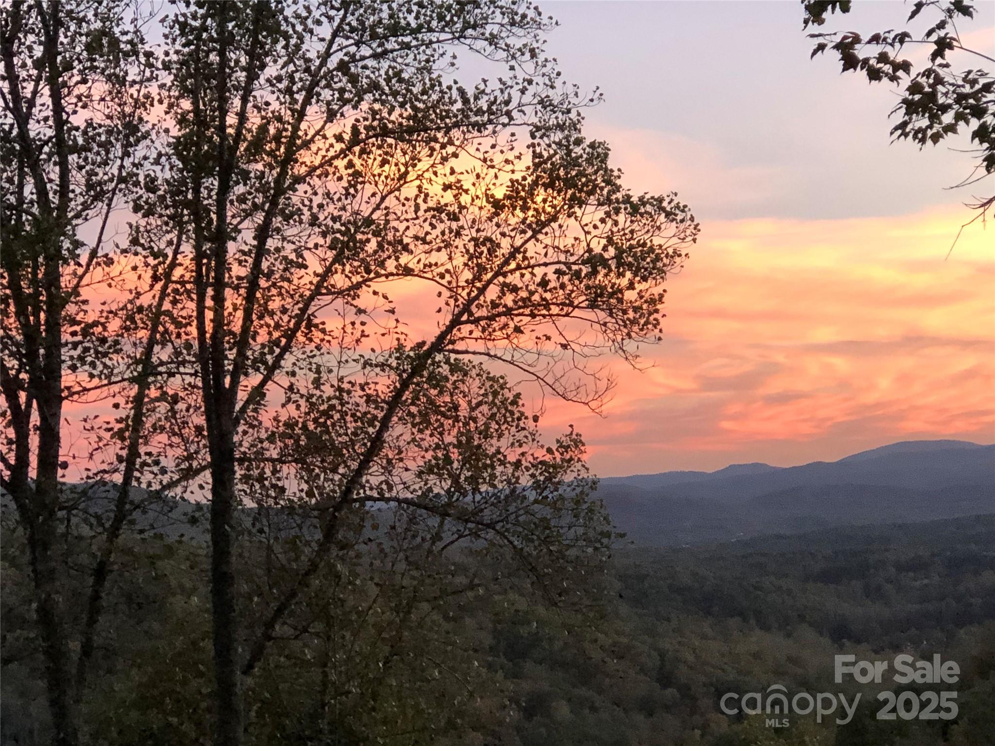 5 Powder Ridge Drive Asheville NC 28803