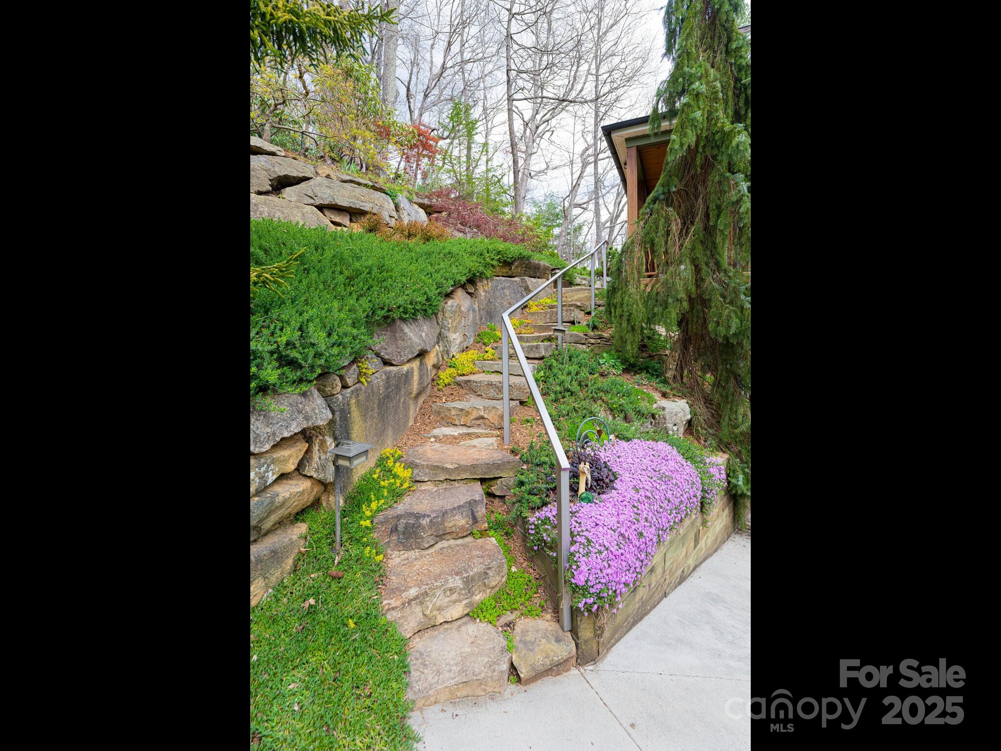5 Powder Ridge Drive Asheville NC 28803
