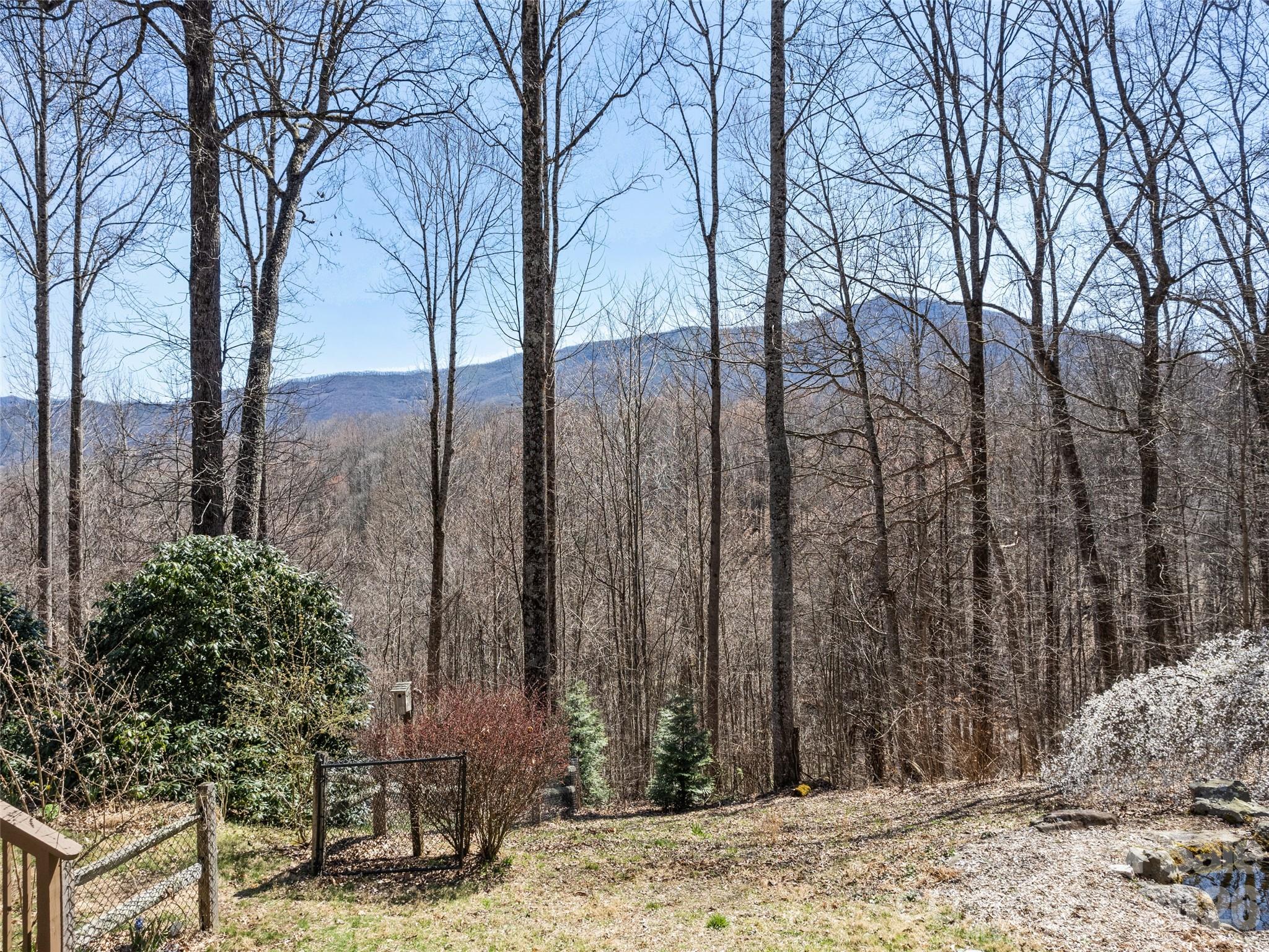 401 Tipstill Cove Waynesville NC 28786