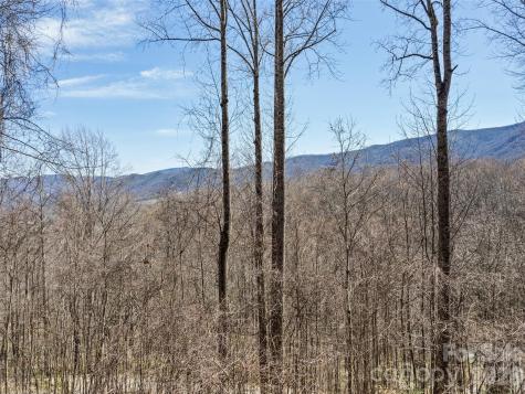401 Tipstill Cove Waynesville NC 28786