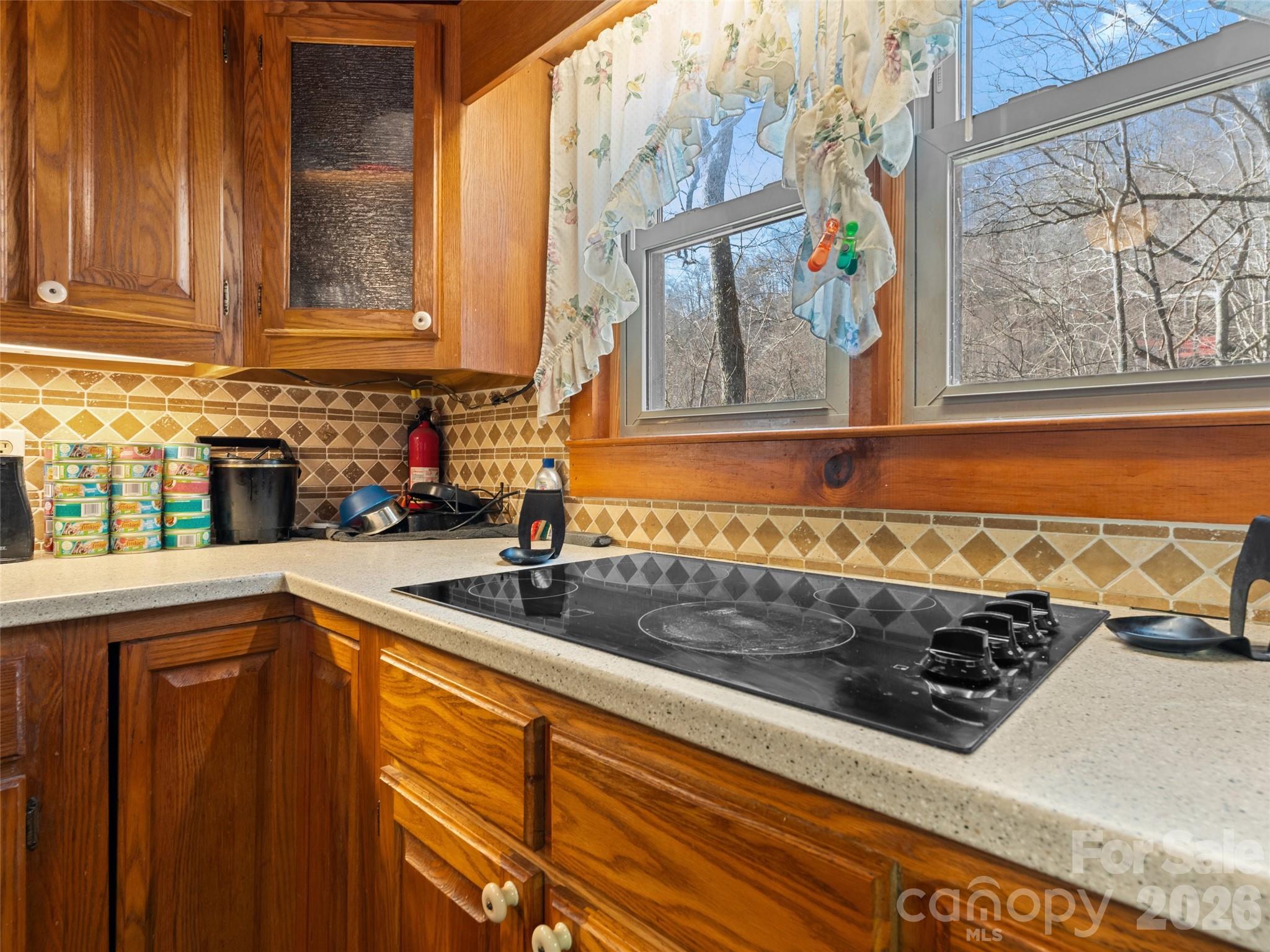 250 Creekside Drive Maggie Valley NC 28751