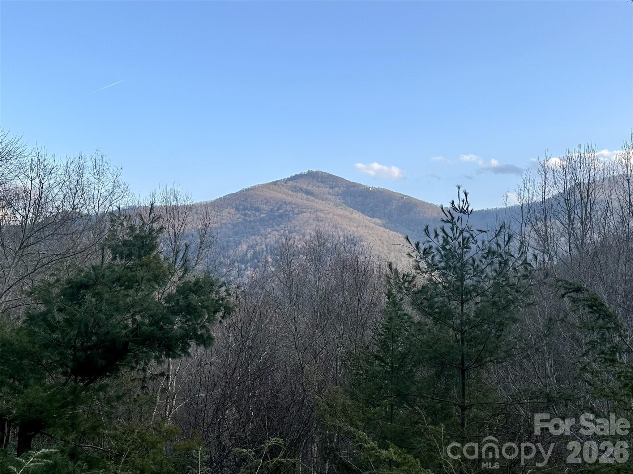 250 Creekside Drive Maggie Valley NC 28751