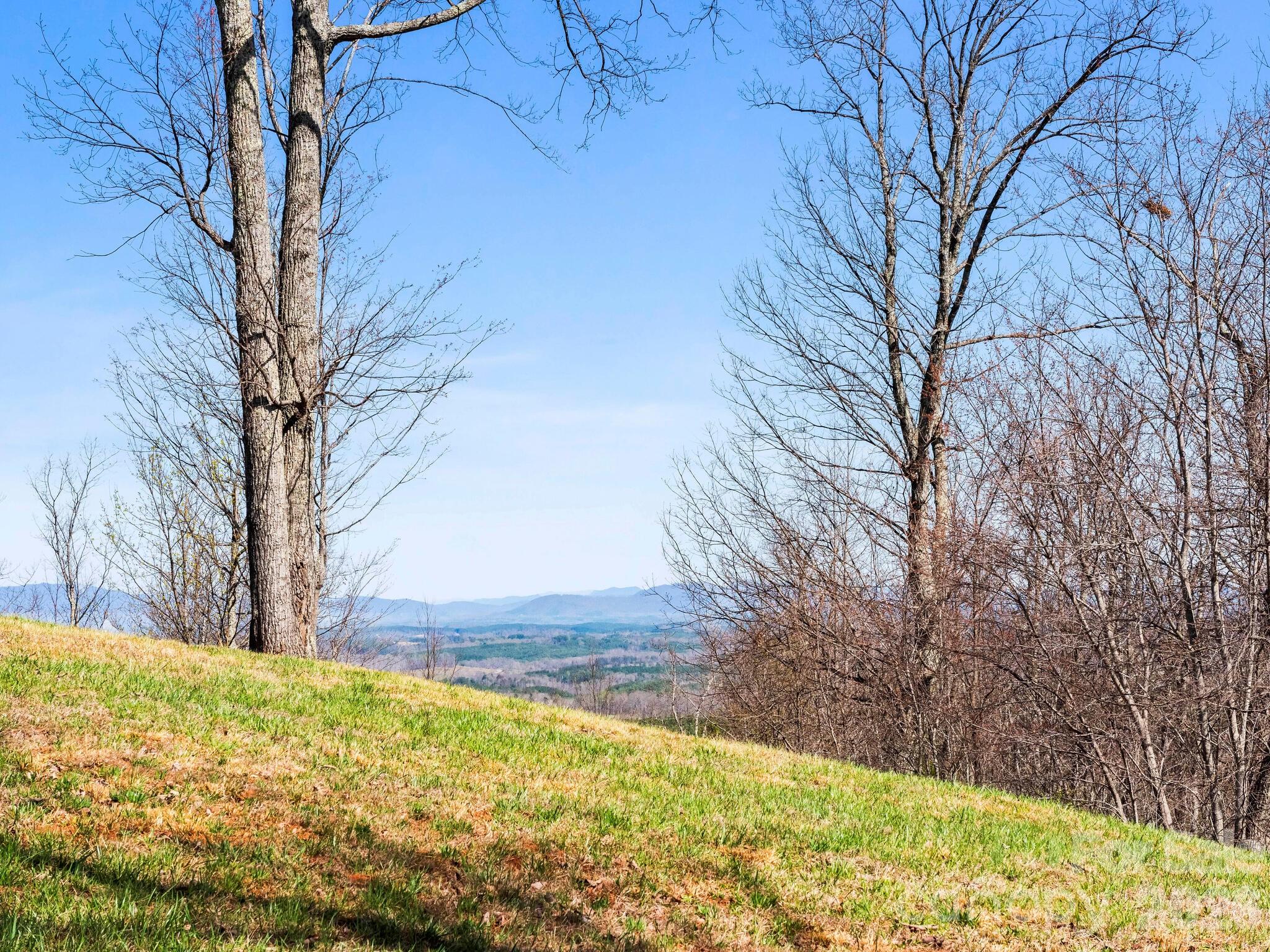 25 Preservation Trail Columbus NC 28722