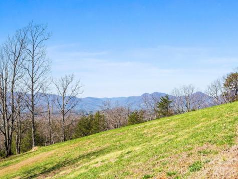 25 Preservation Trail Columbus NC 28722