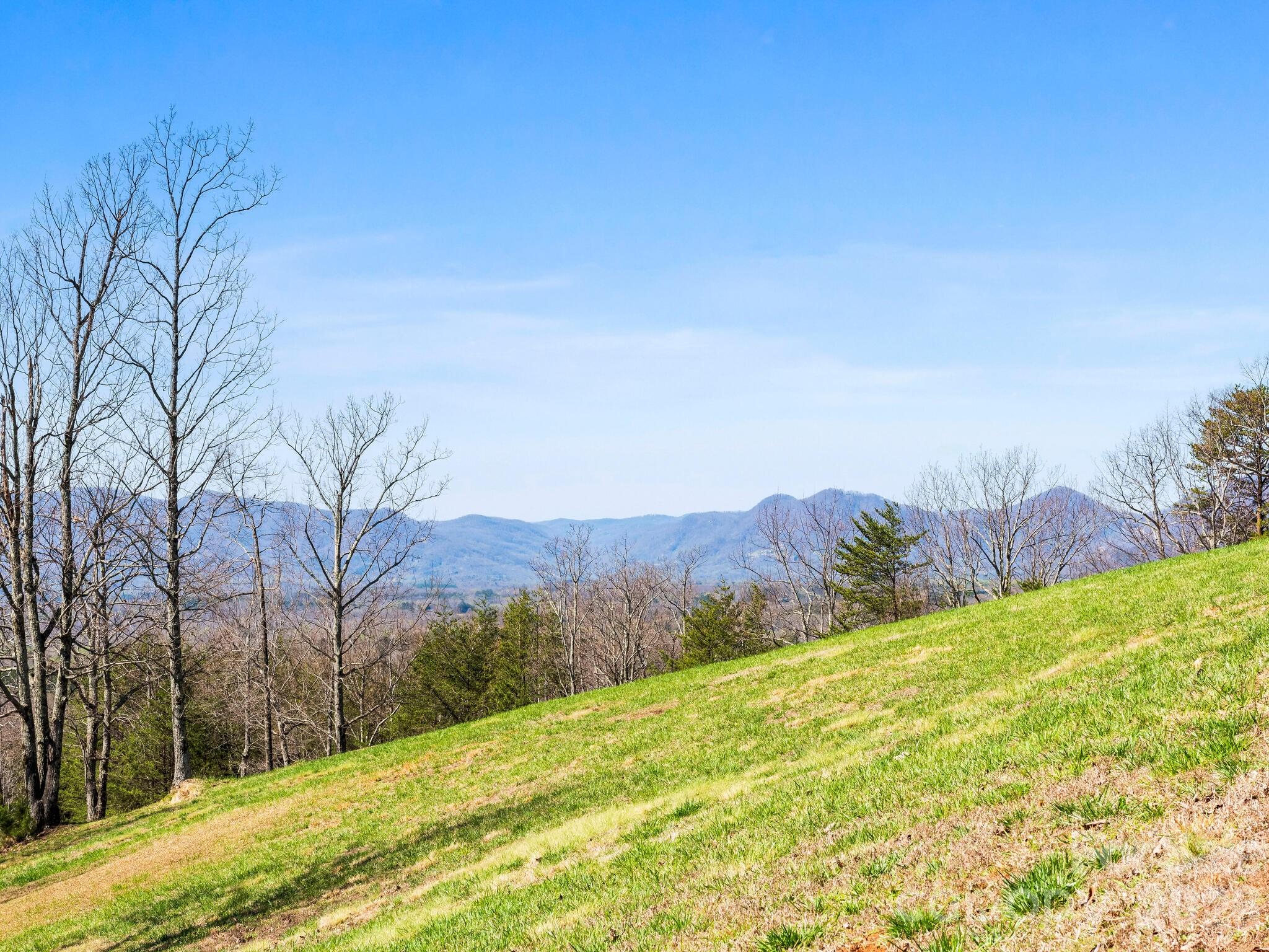 25 Preservation Trail Columbus NC 28722
