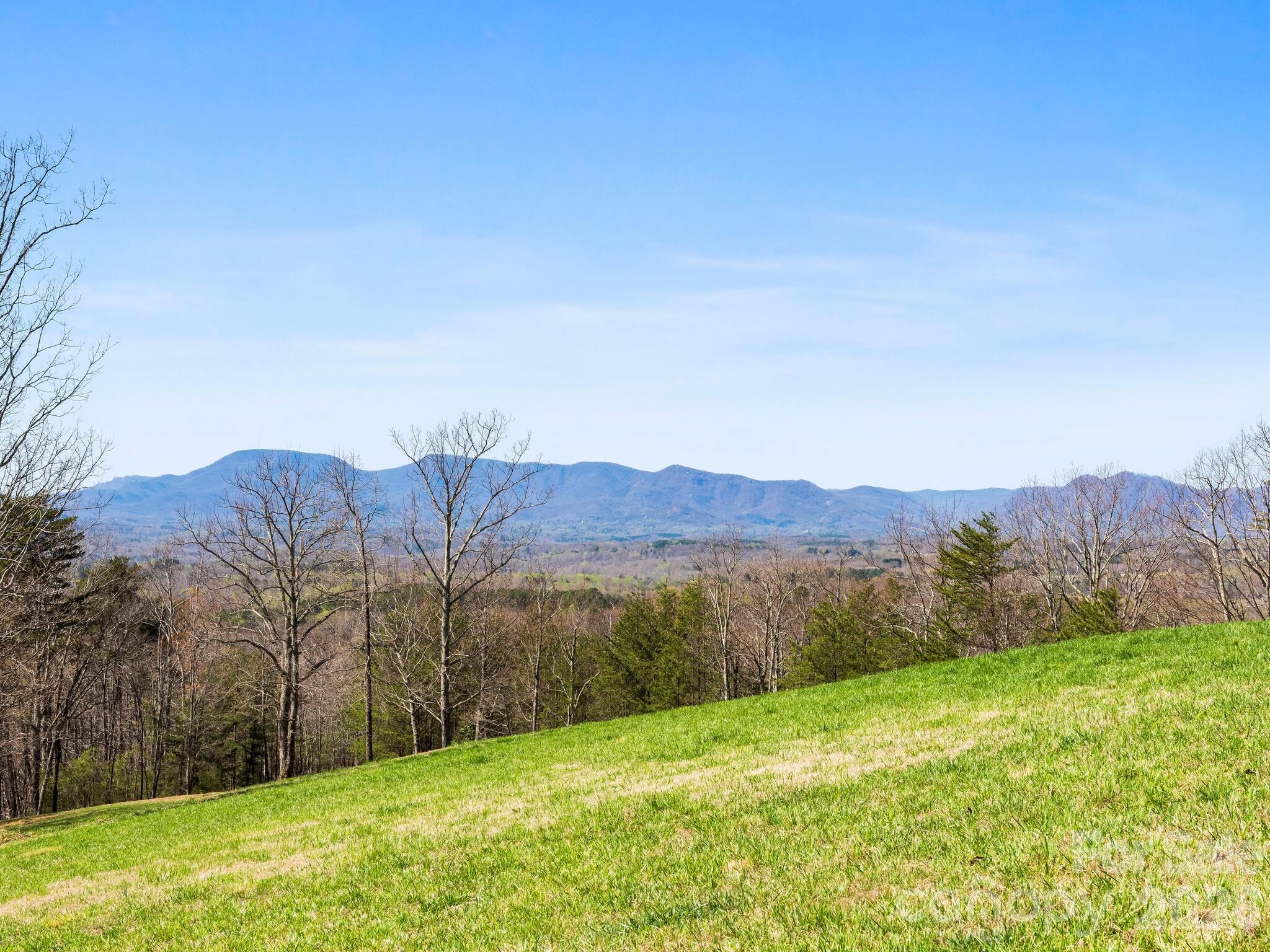 25 Preservation Trail Columbus NC 28722