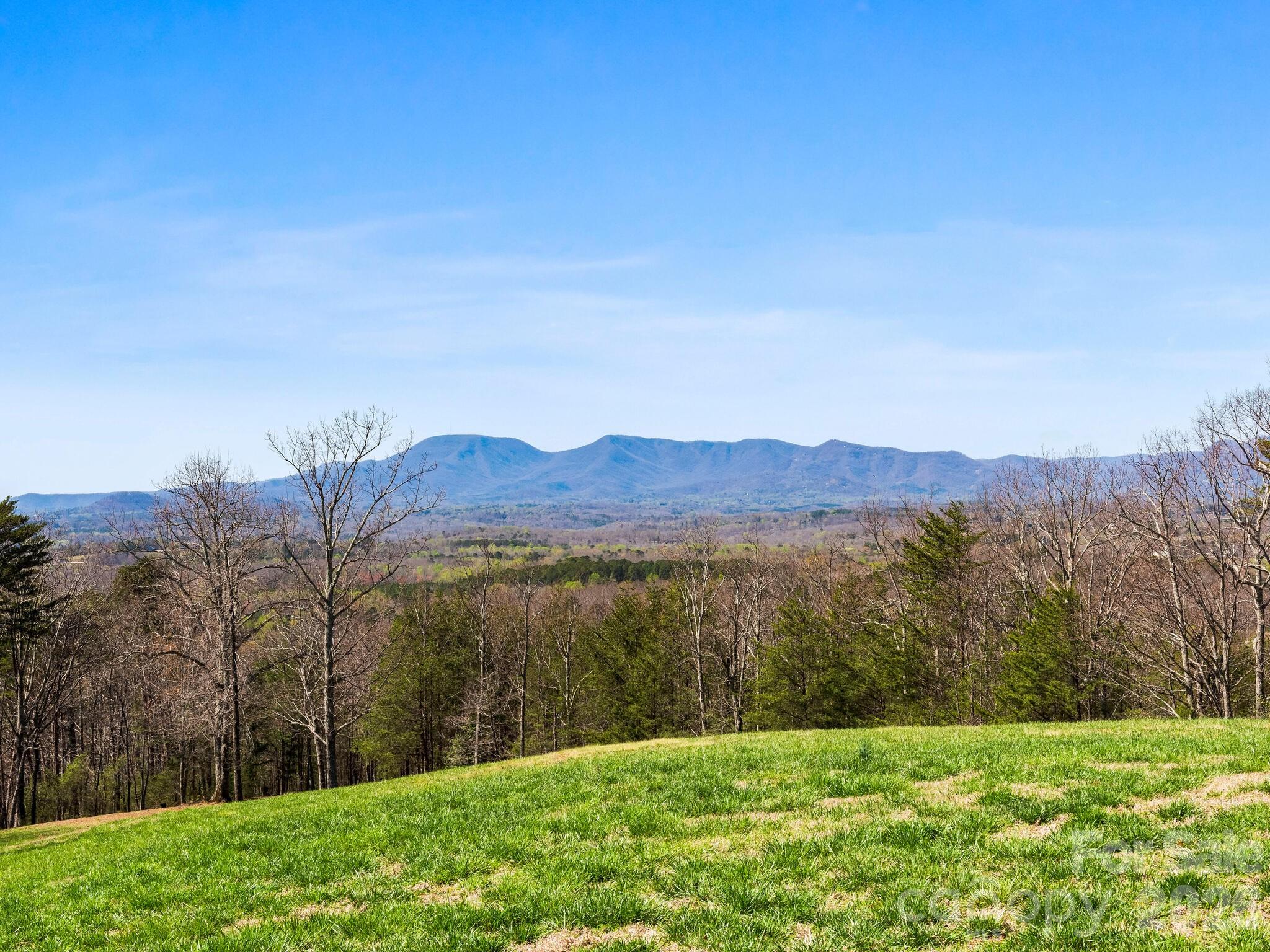 25 Preservation Trail Columbus NC 28722