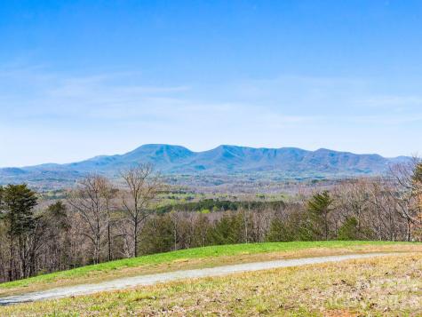25 Preservation Trail Columbus NC 28722
